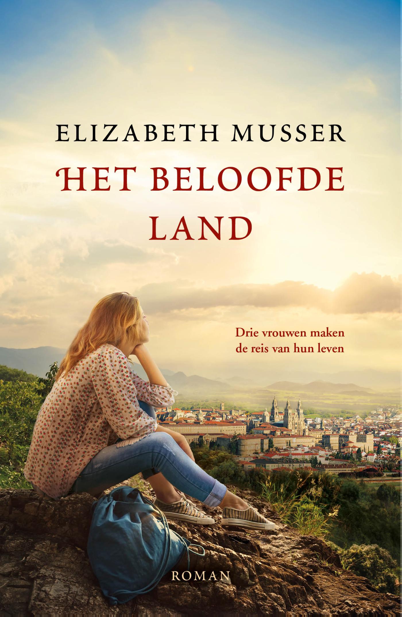 Cover van Het beloofde land