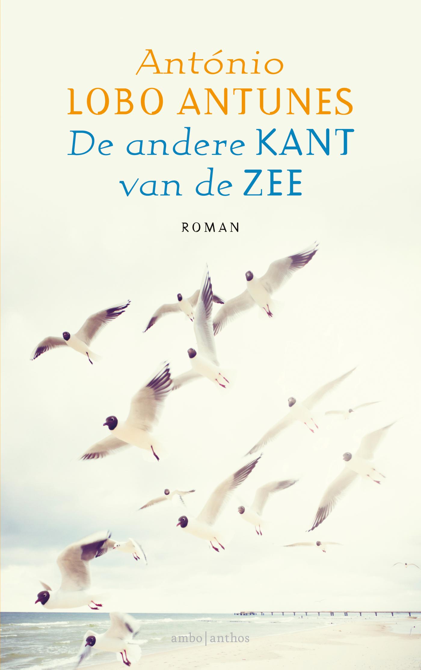 Cover van De andere kant van de zee
