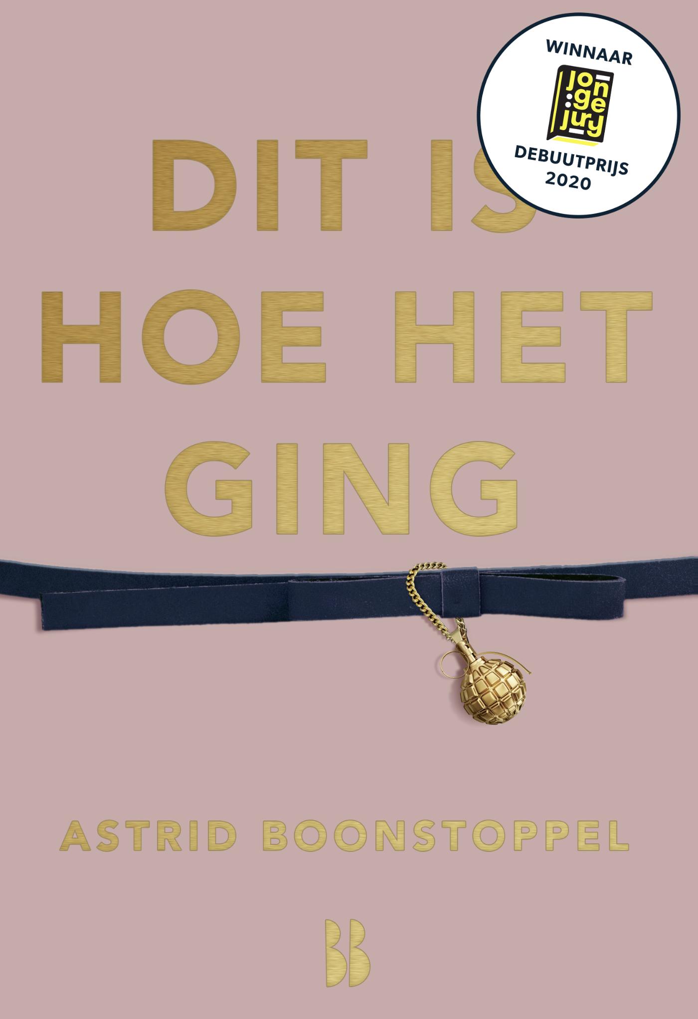 Cover van Dit is hoe het ging