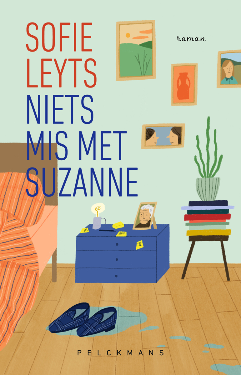 Cover van Niets mis met Suzanne : roman