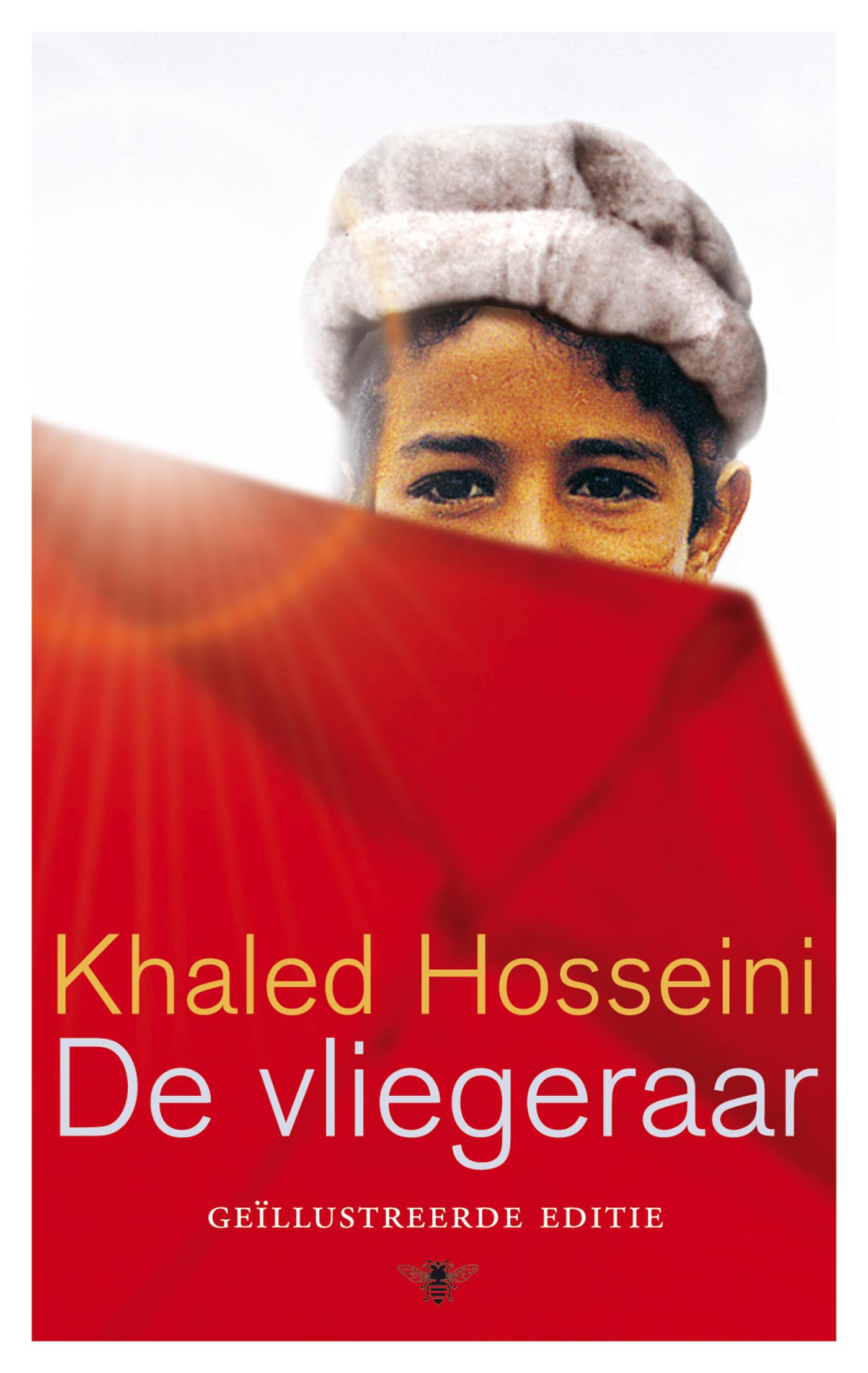 Cover van De vliegeraar