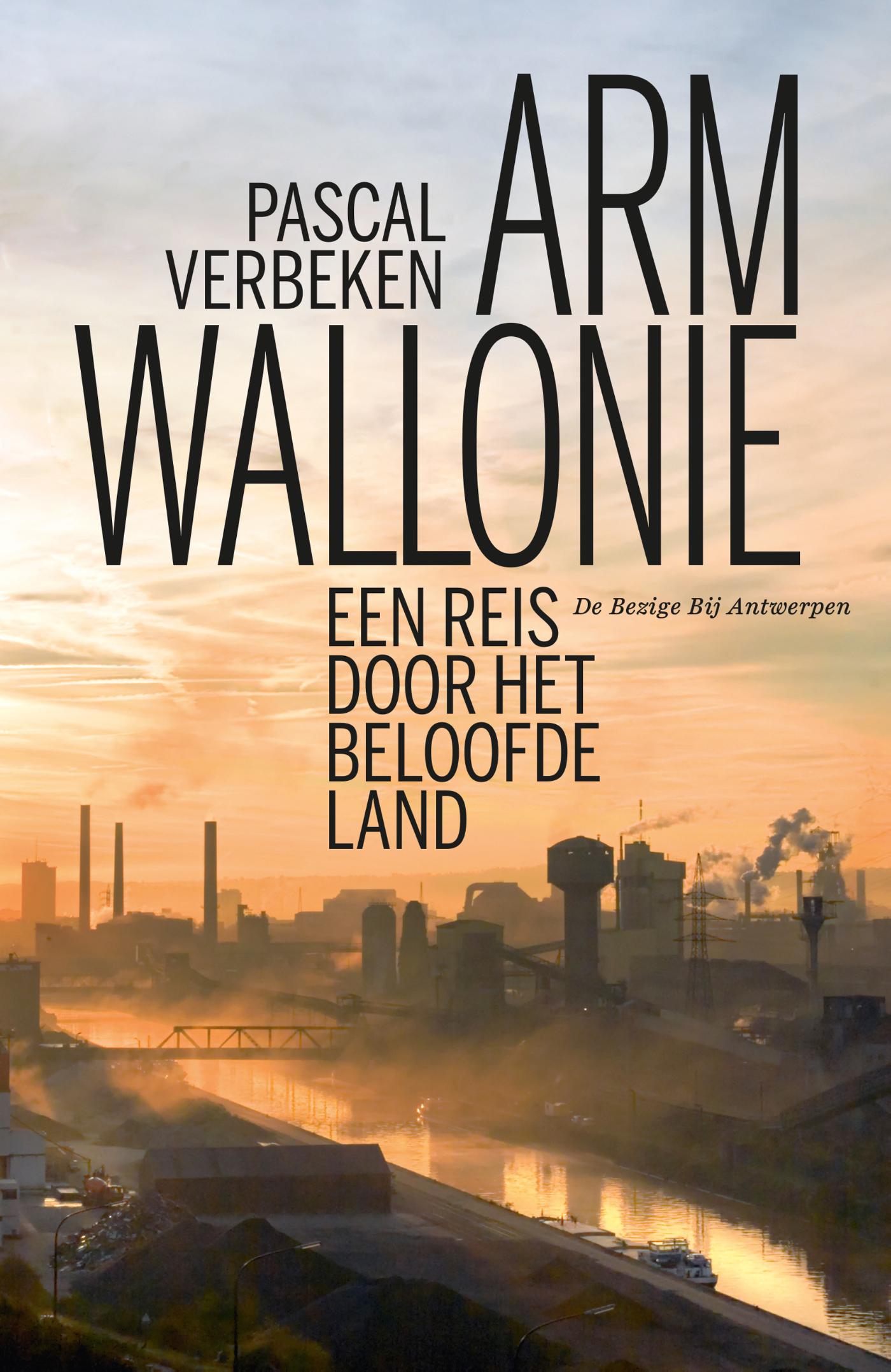 Cover van Arm Wallonië : een reis door het beloofde land