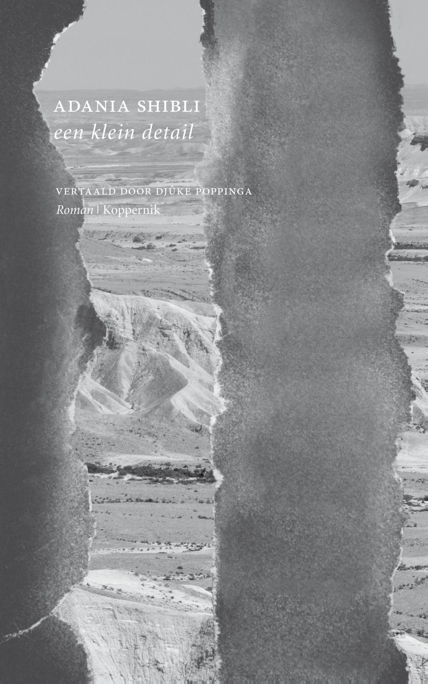 Couverture de Een klein detail : roman