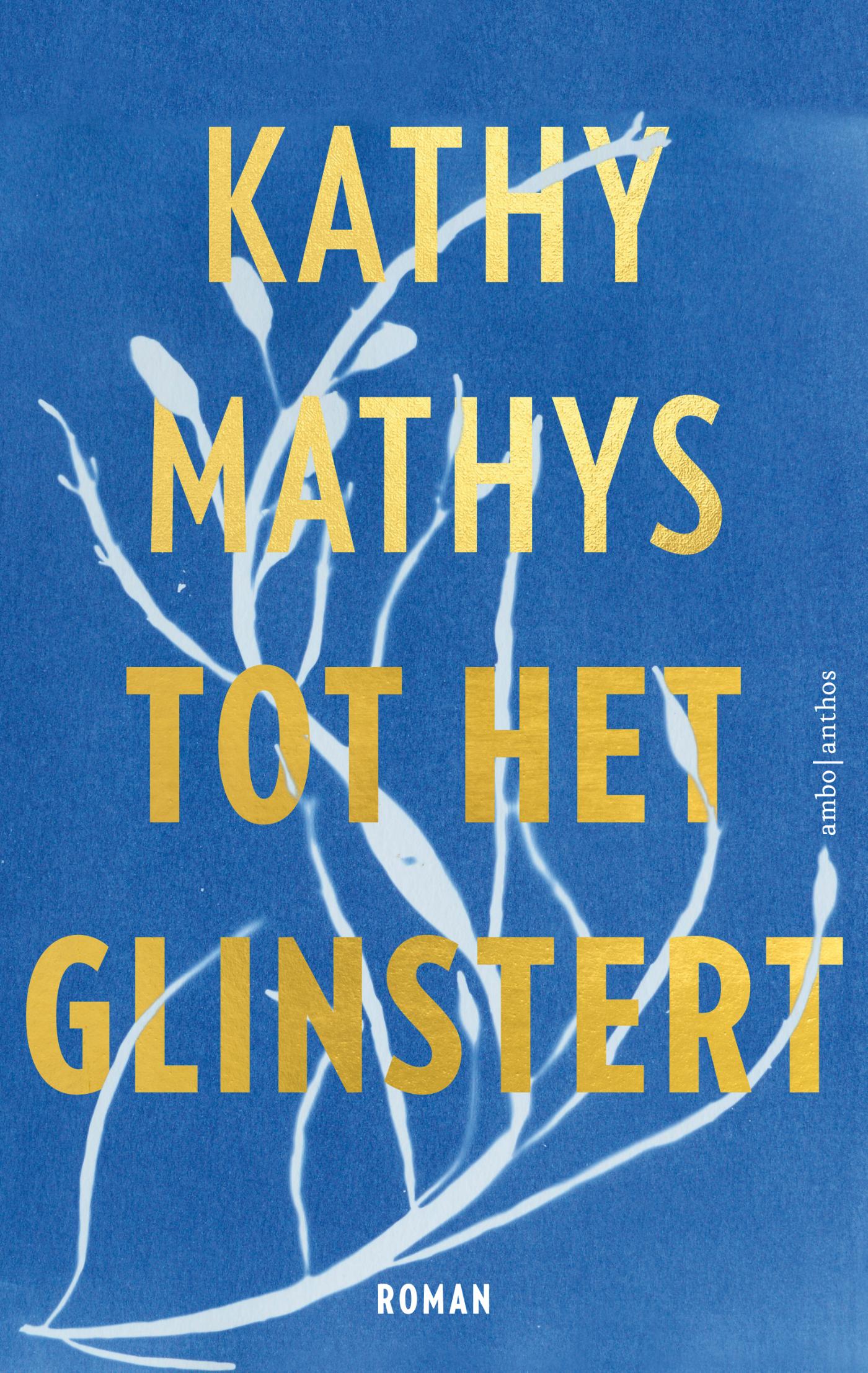 Cover van Tot het glinstert