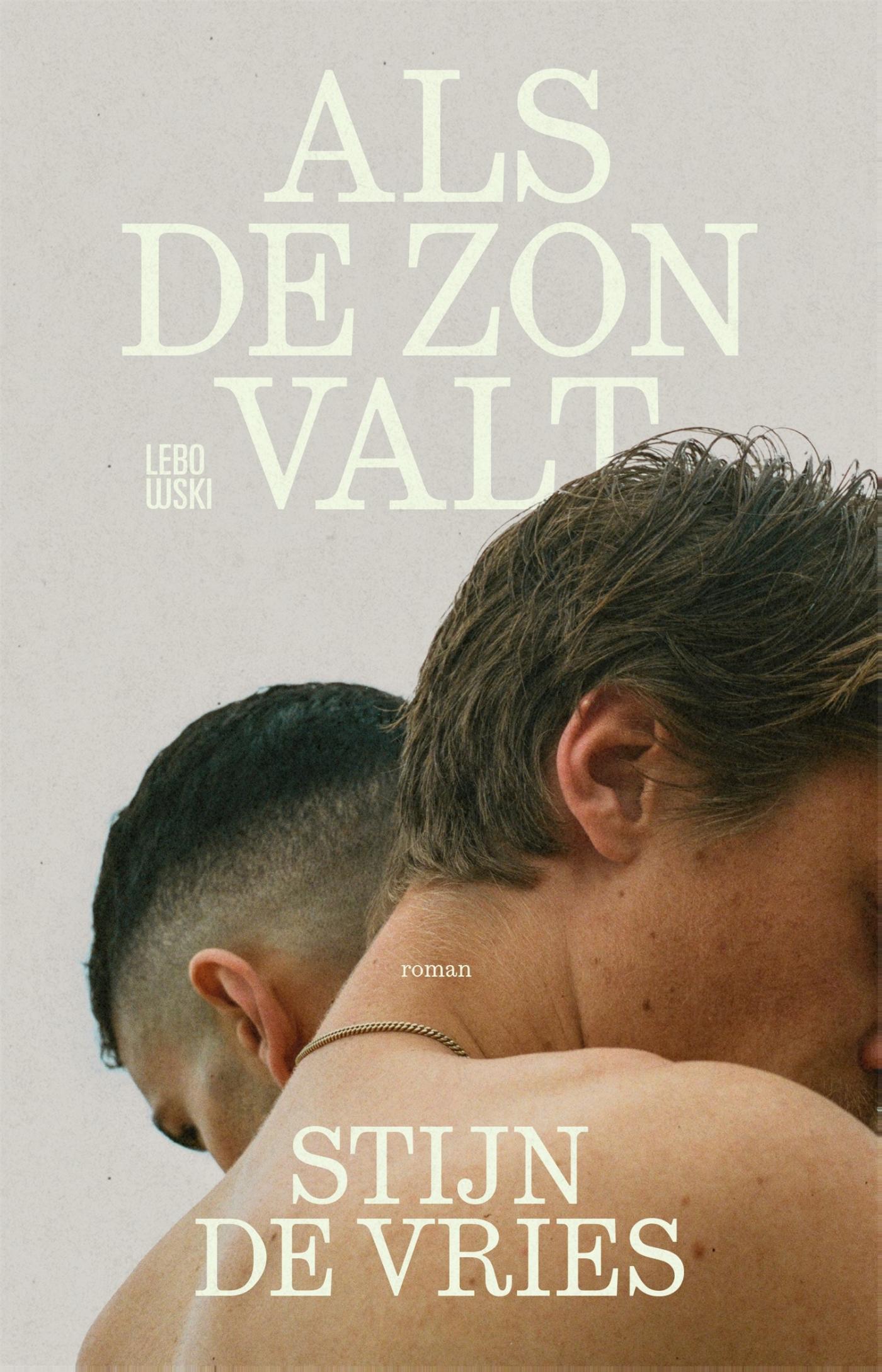 Cover van Als de zon valt : roman