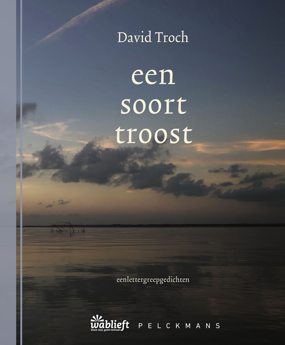 Cover van Een soort troost : eenlettergreepgedichten