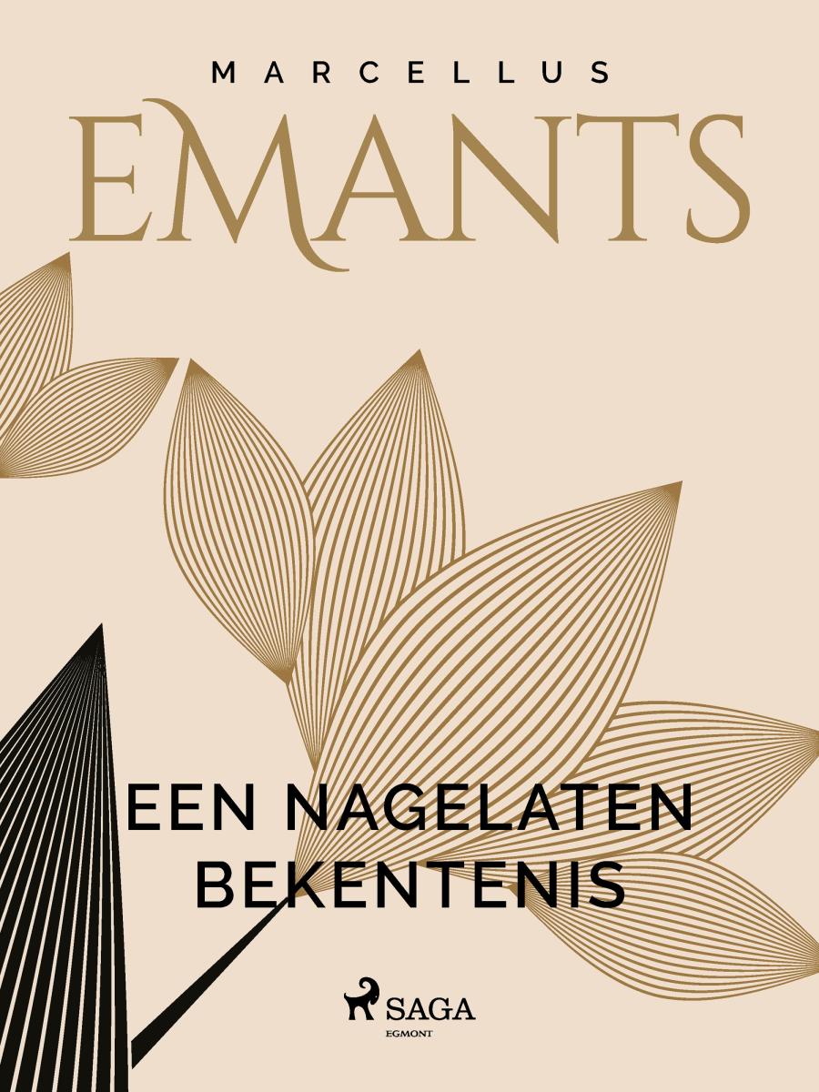 Cover van Een nagelaten bekentenis