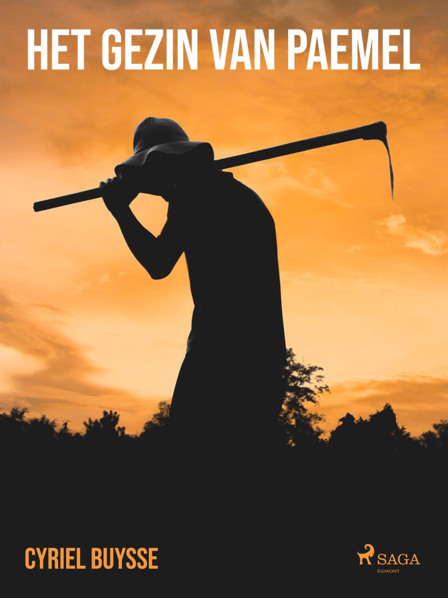 Cover of Het gezin van Paemel : drama in vier bedrijven