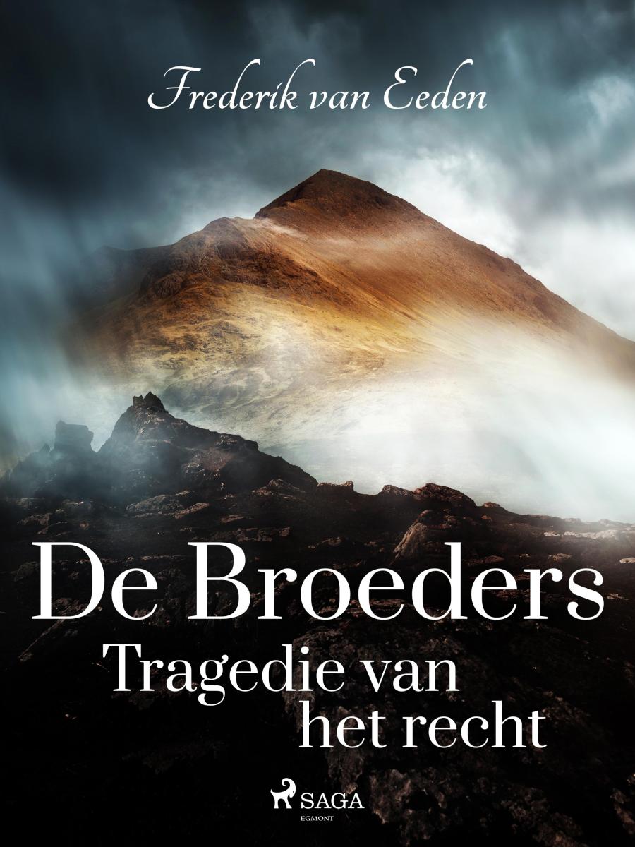 Cover van De broeders : tragedie van het recht