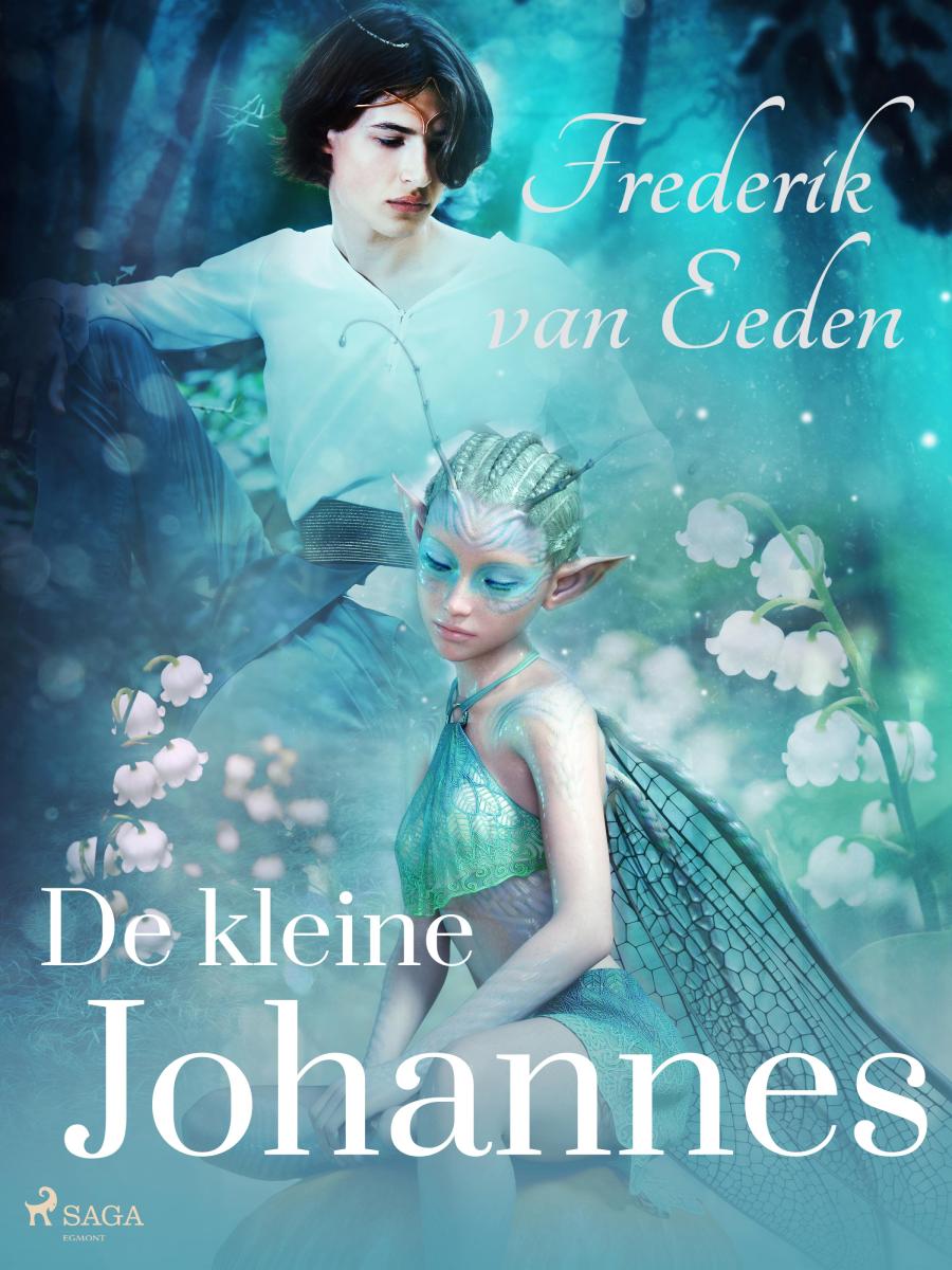 Cover of De kleine Johannes