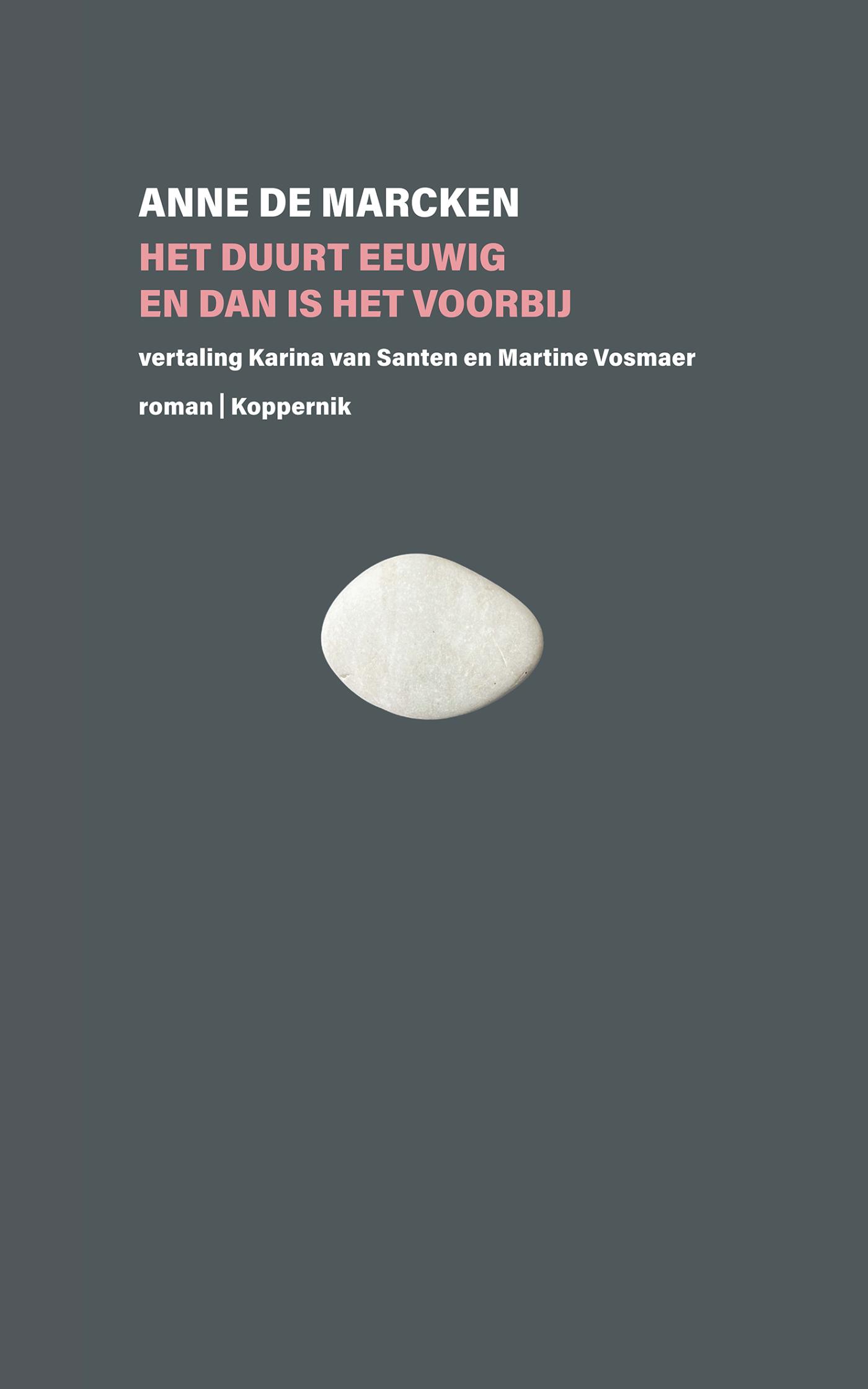Cover van Het duurt eeuwig en dan is het voorbij : roman