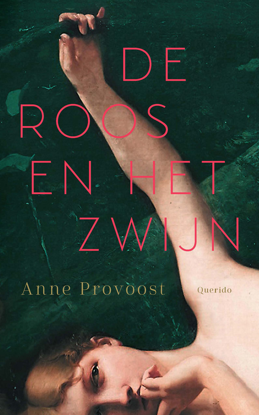 Cover van De Roos en het Zwijn