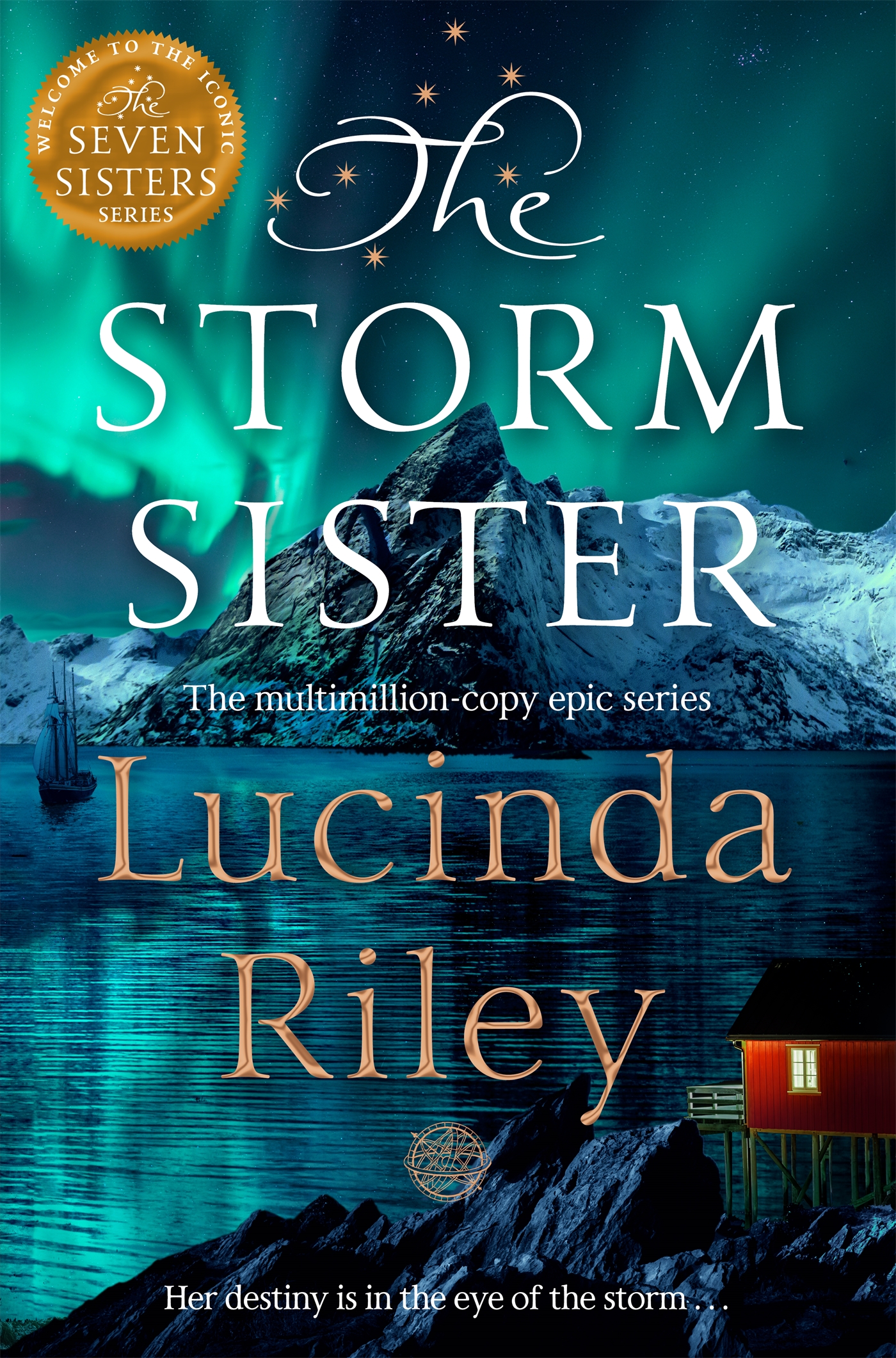 Cover van The storm sister : Ally's story