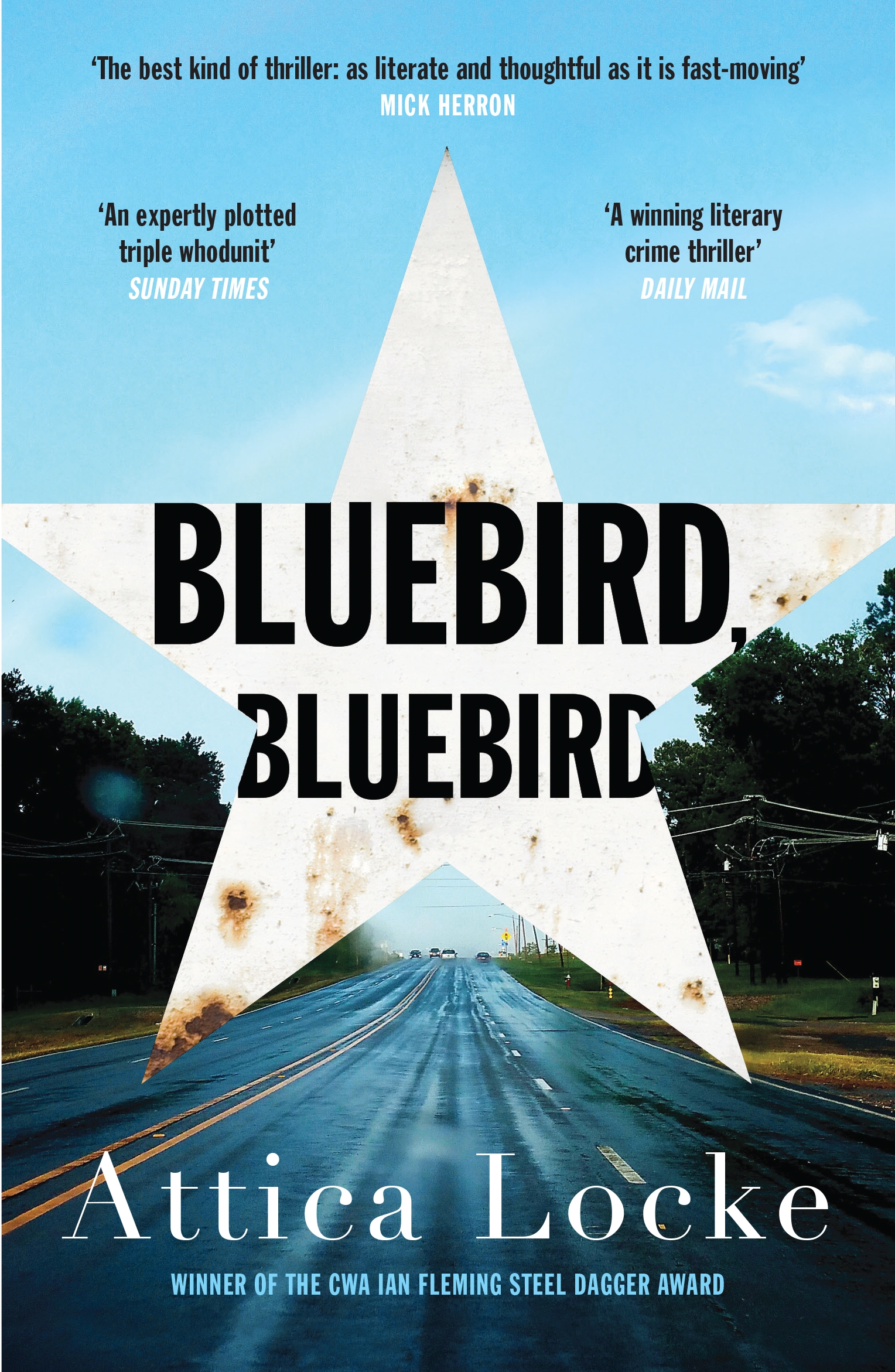Cover van Bluebird, bluebird : a novel
