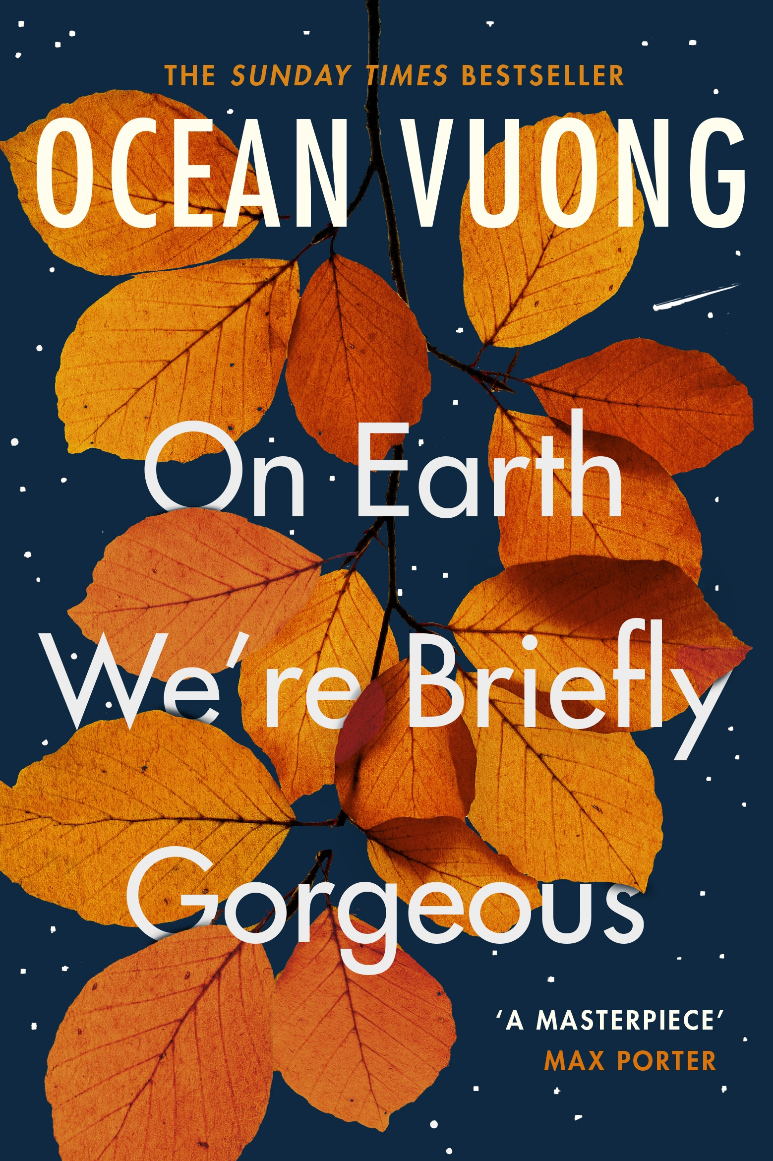 Cover van On earth we're briefly gorgeous