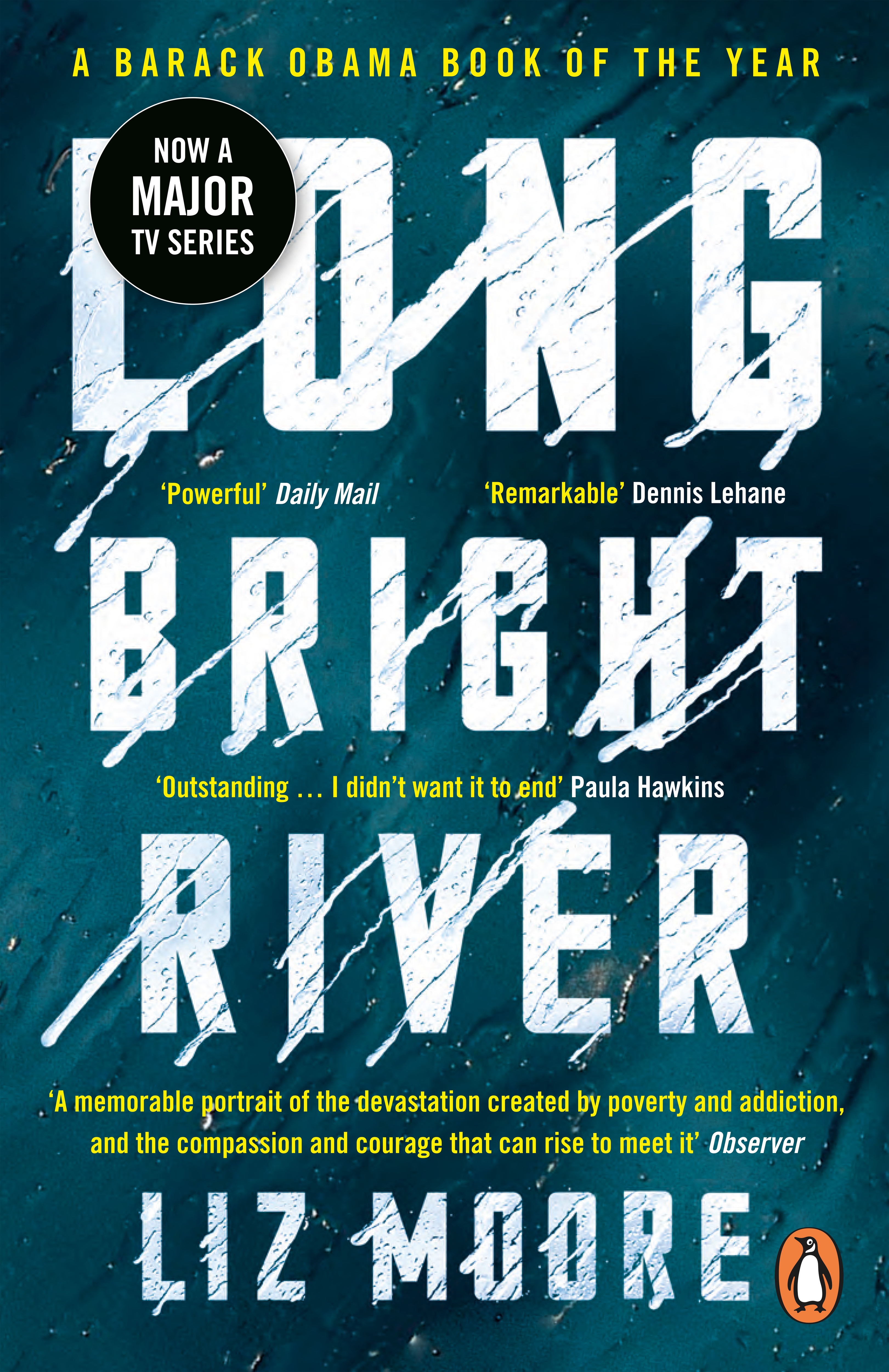 Cover van Long bright river