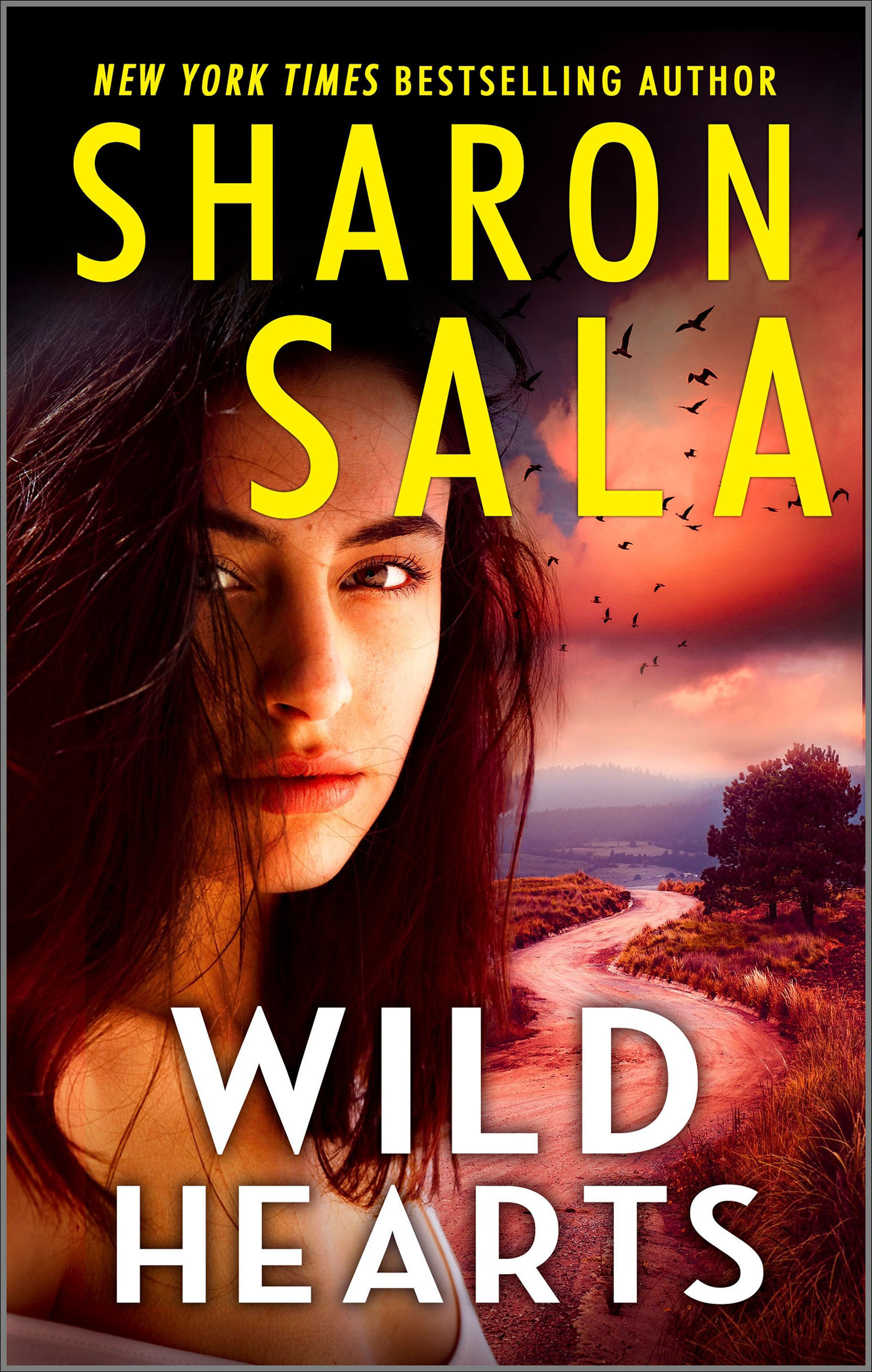 Cover image for Wild Hearts [electronic resource] :