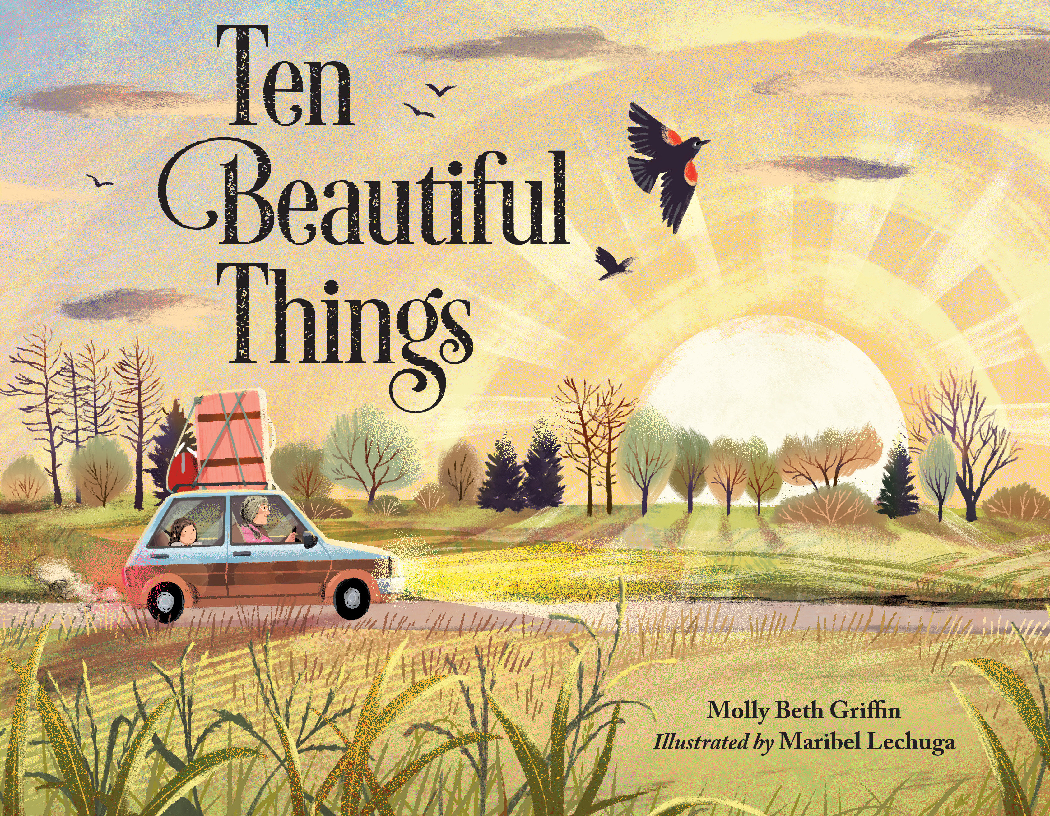 Cover image for Ten Beautiful Things [electronic resource] :