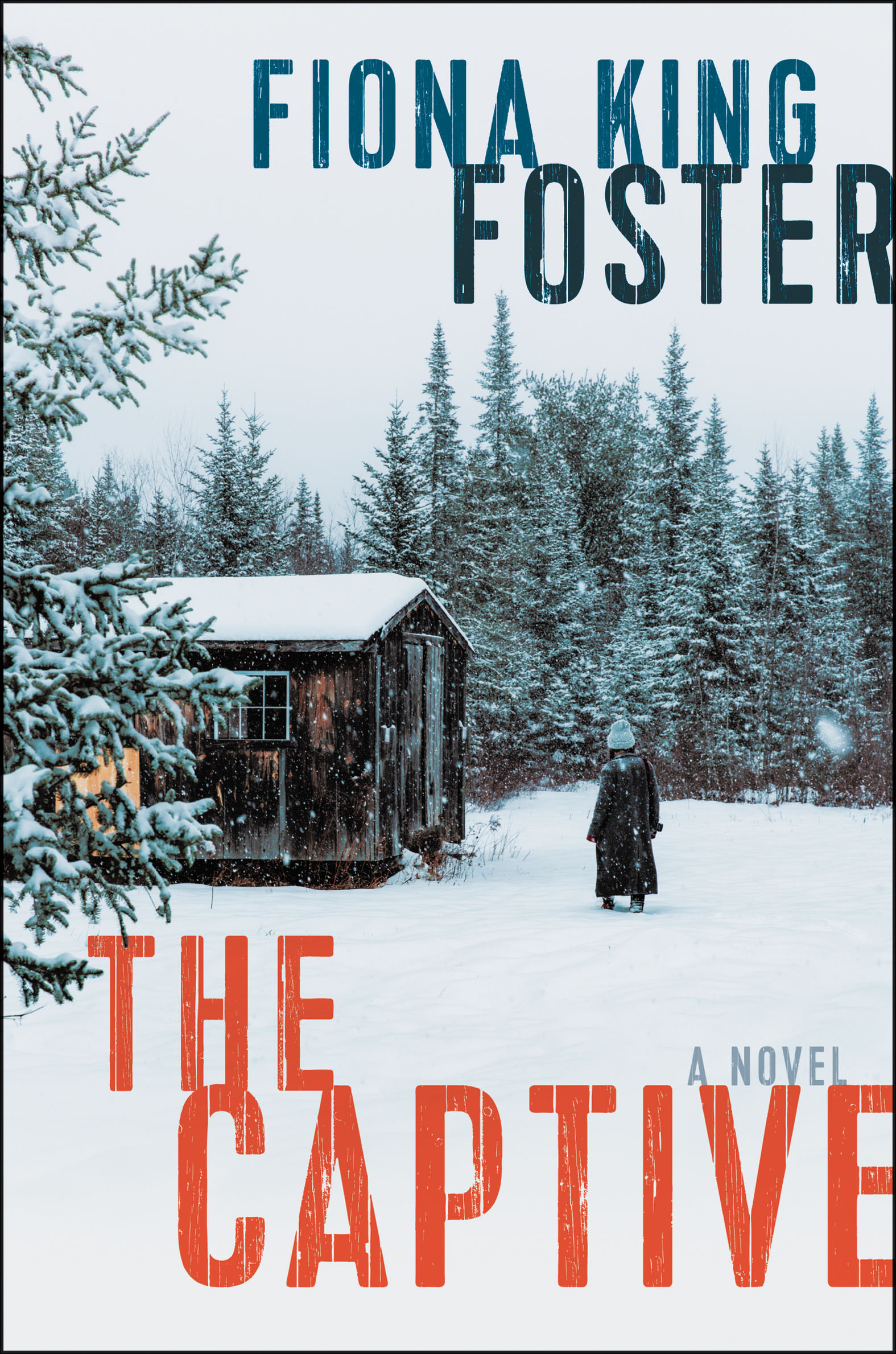 Image de couverture de The Captive [electronic resource] : A Novel