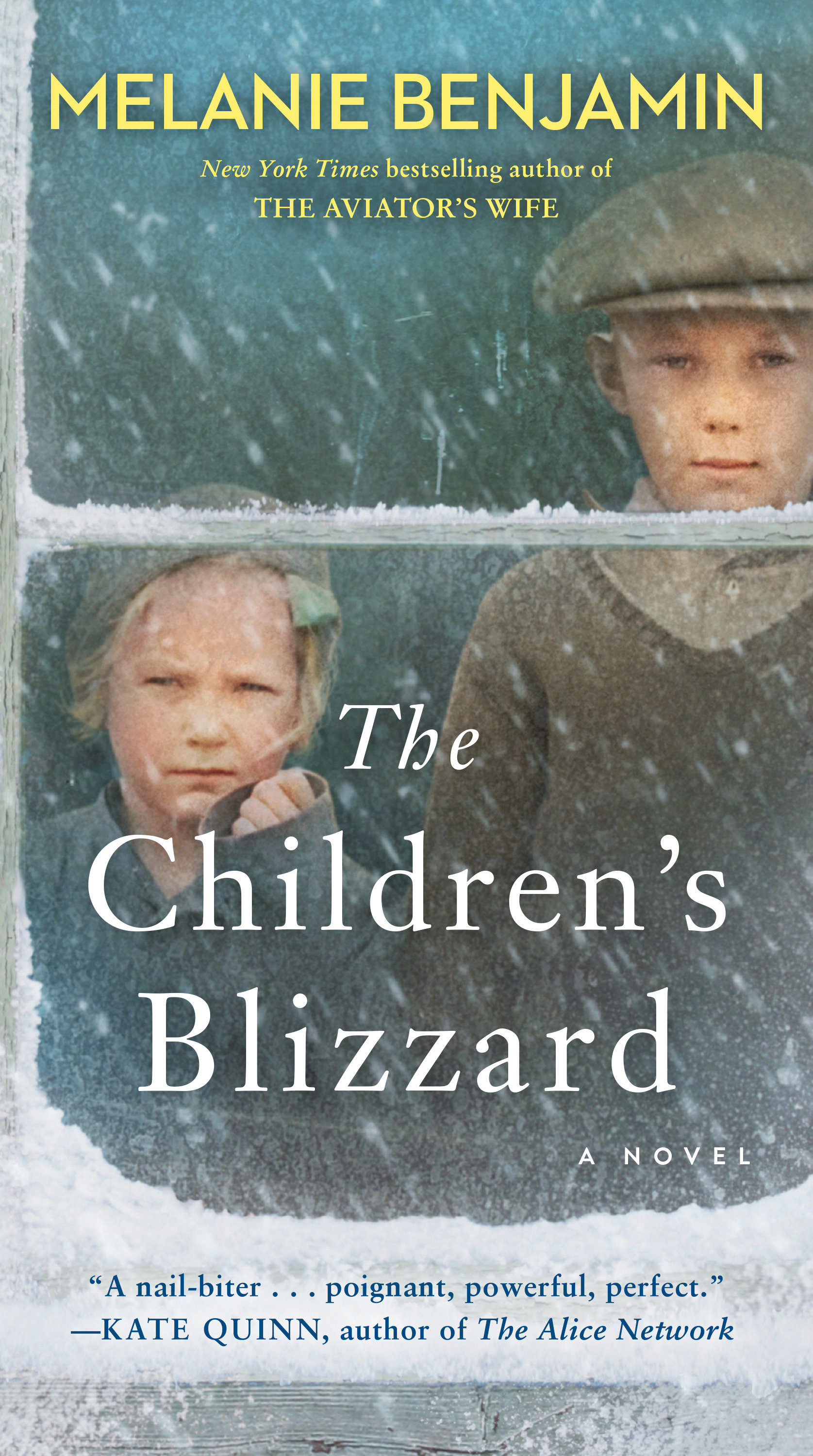 Cover image for The Children's Blizzard [electronic resource] : A Novel