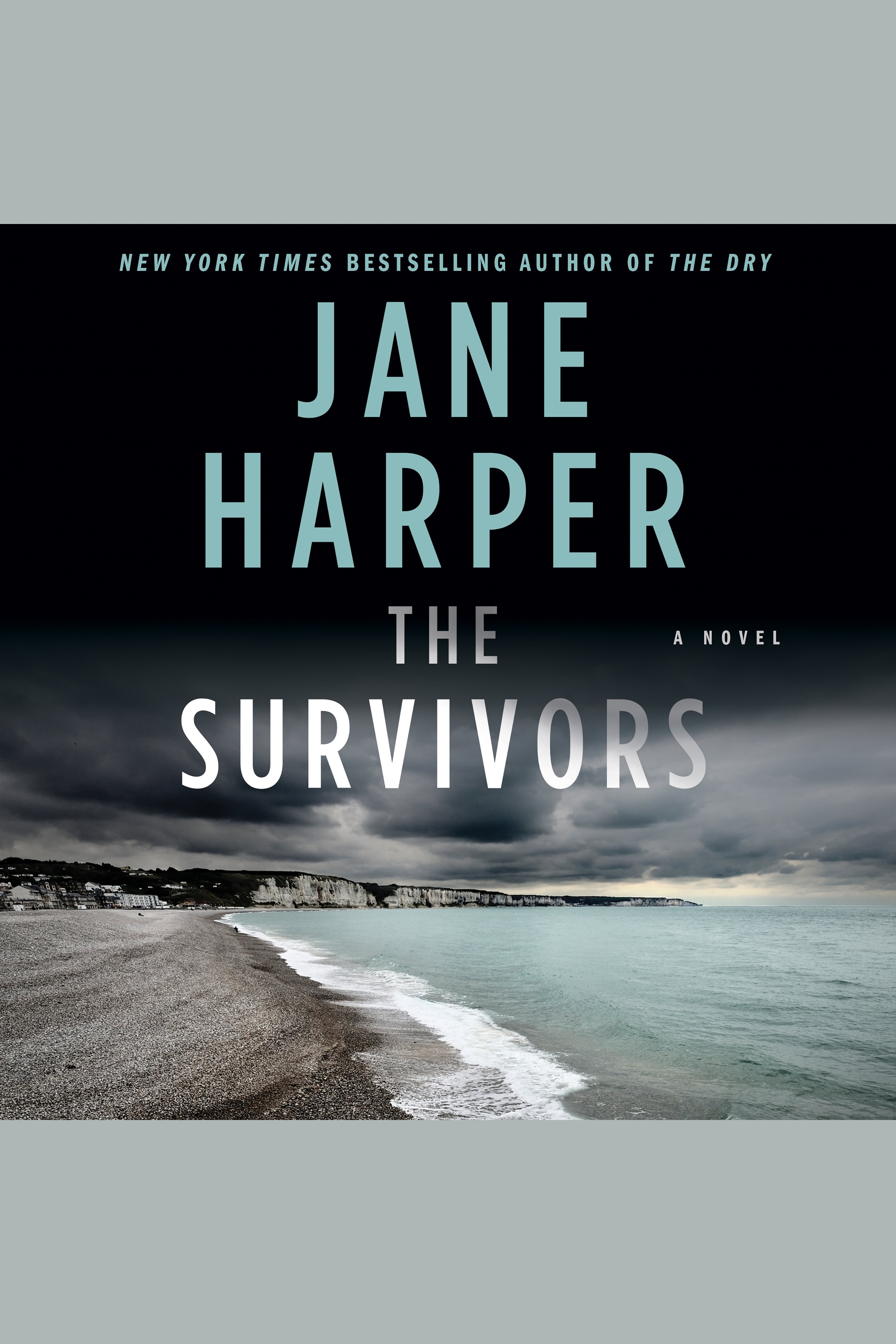 Imagen de portada para The Survivors [electronic resource] : A Novel