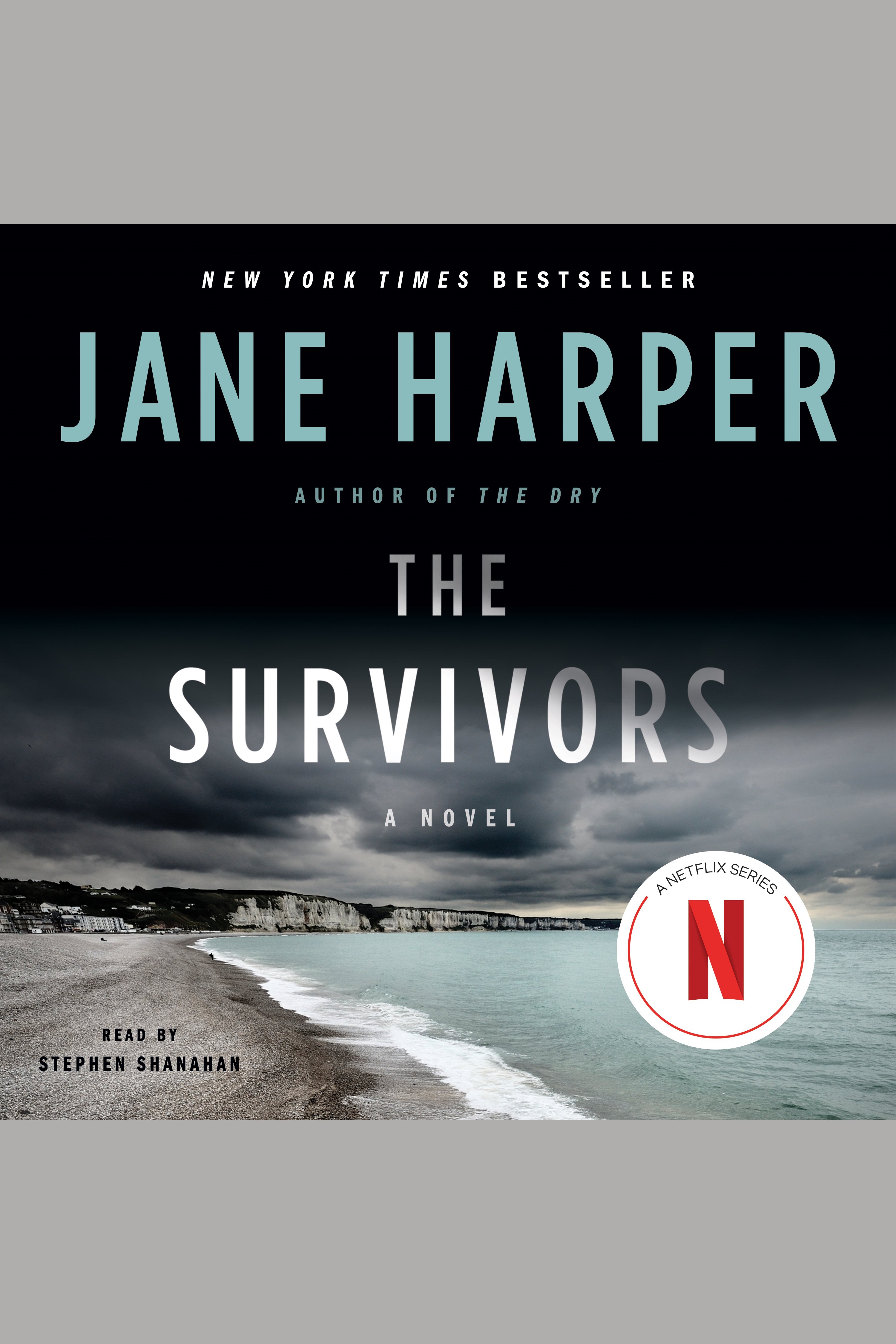 Umschlagbild für The Survivors [electronic resource] : A Novel