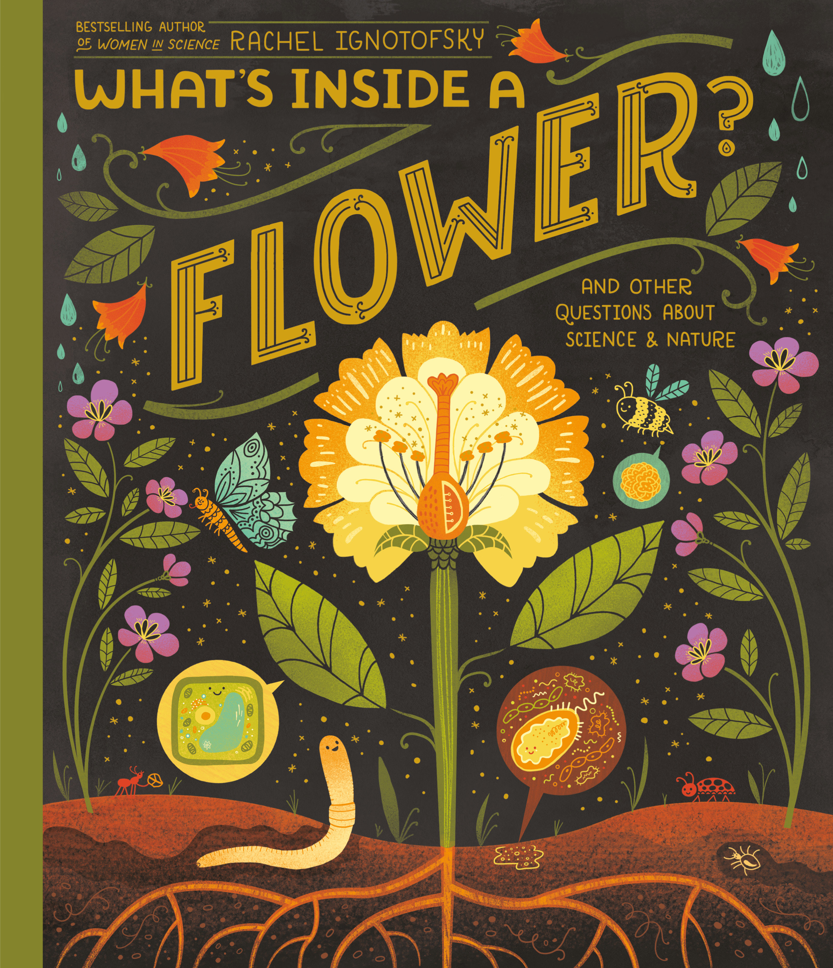 What's Inside A Flower? KFPL Catalogue