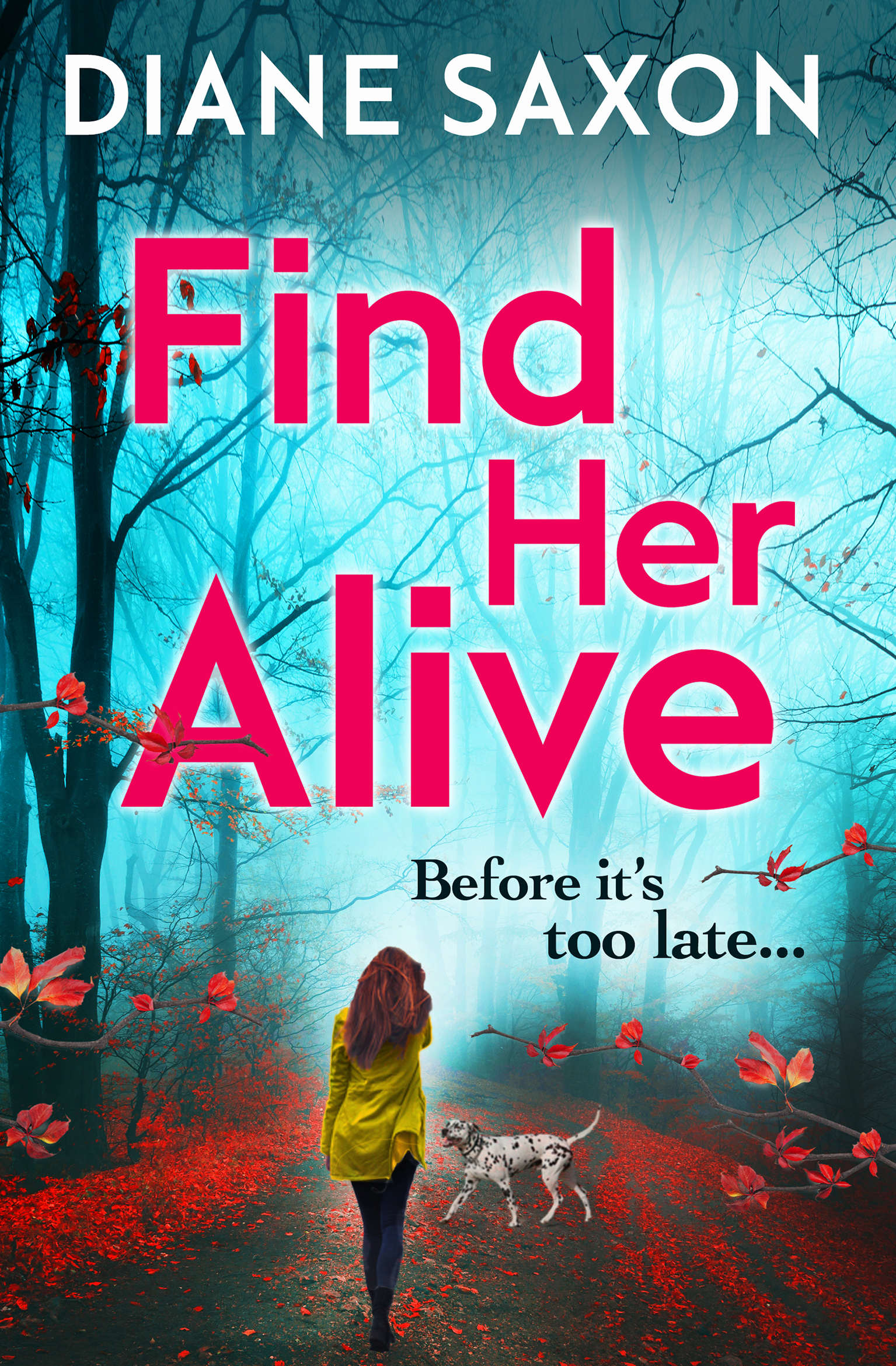 Imagen de portada para Find Her Alive [electronic resource] : The start of a gripping psychological crime series