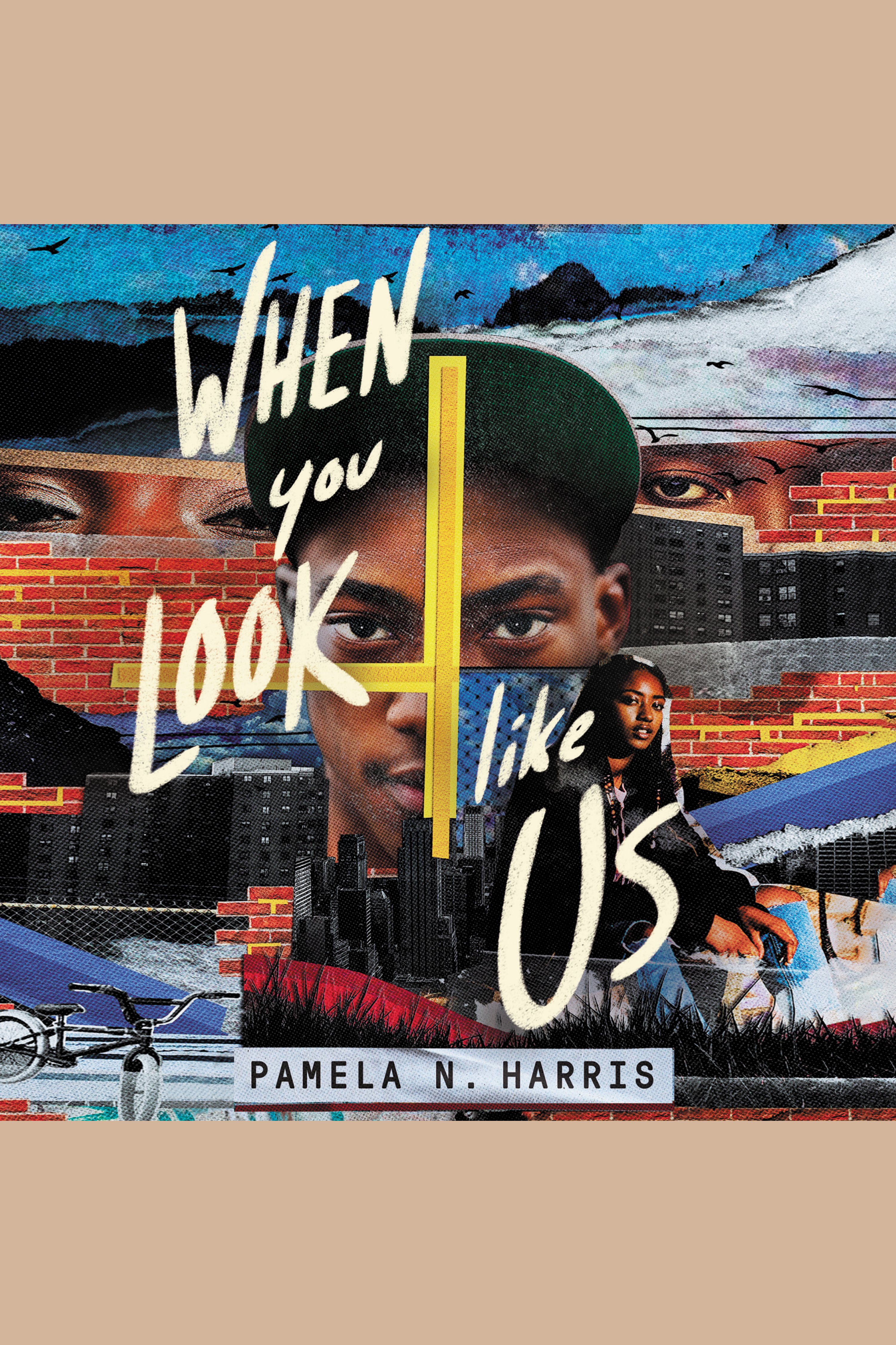 When You Look Like Us cover image