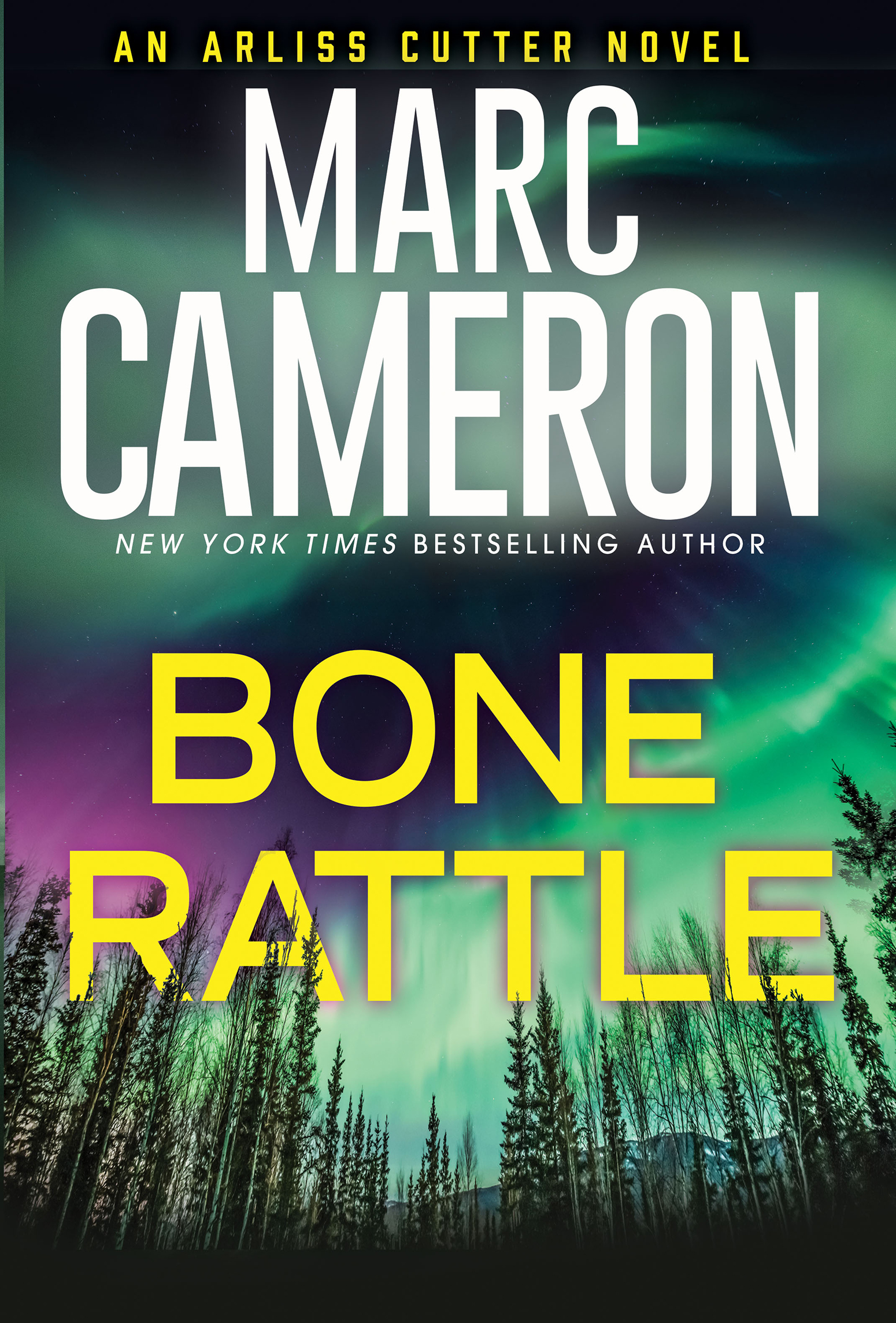 Image de couverture de Bone Rattle [electronic resource] : A Riveting Novel of Suspense