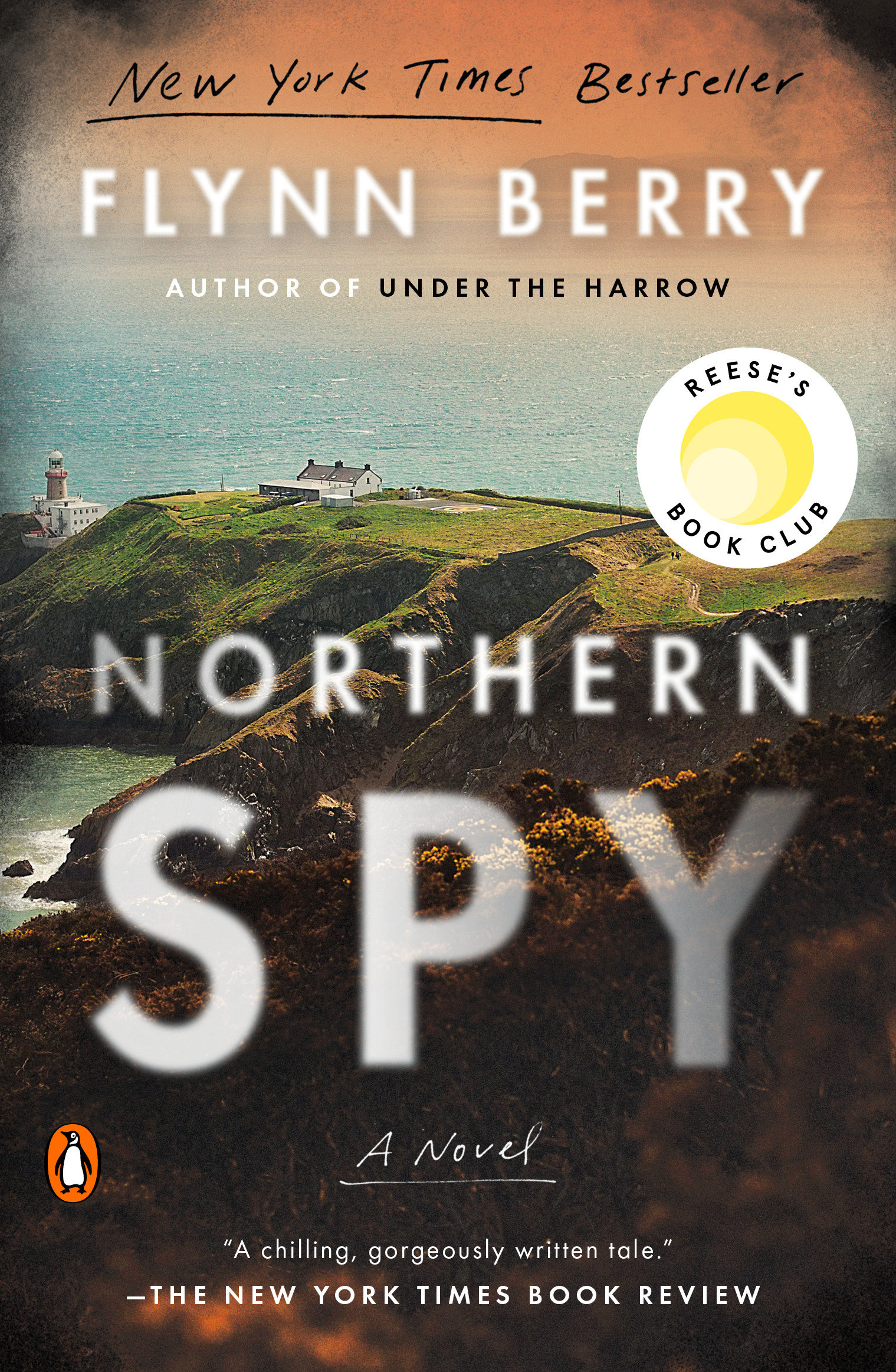 Cover image for Northern Spy [electronic resource] : A Novel
