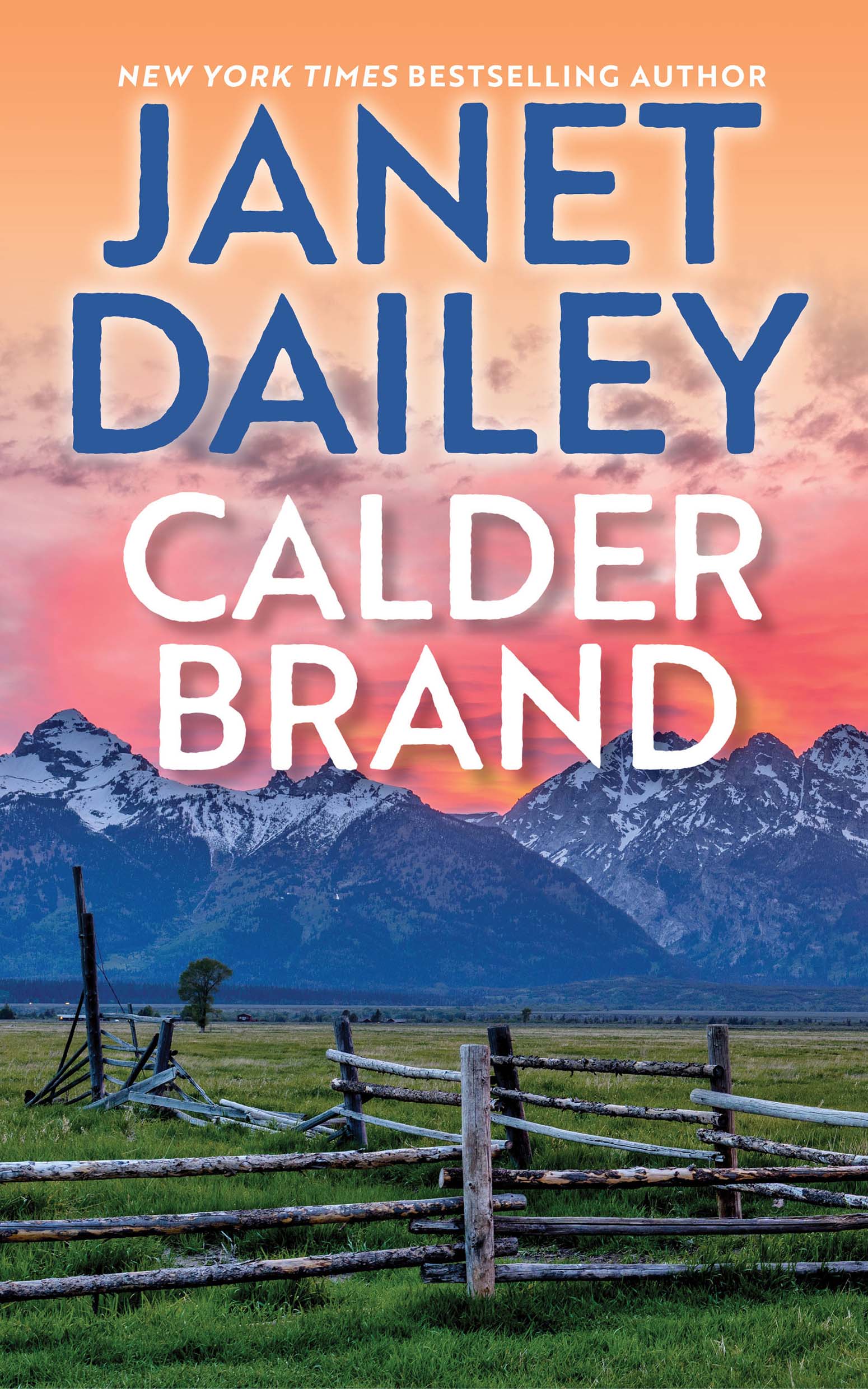 Image de couverture de Calder Brand [electronic resource] : A Beautifully Written Historical Romance Saga