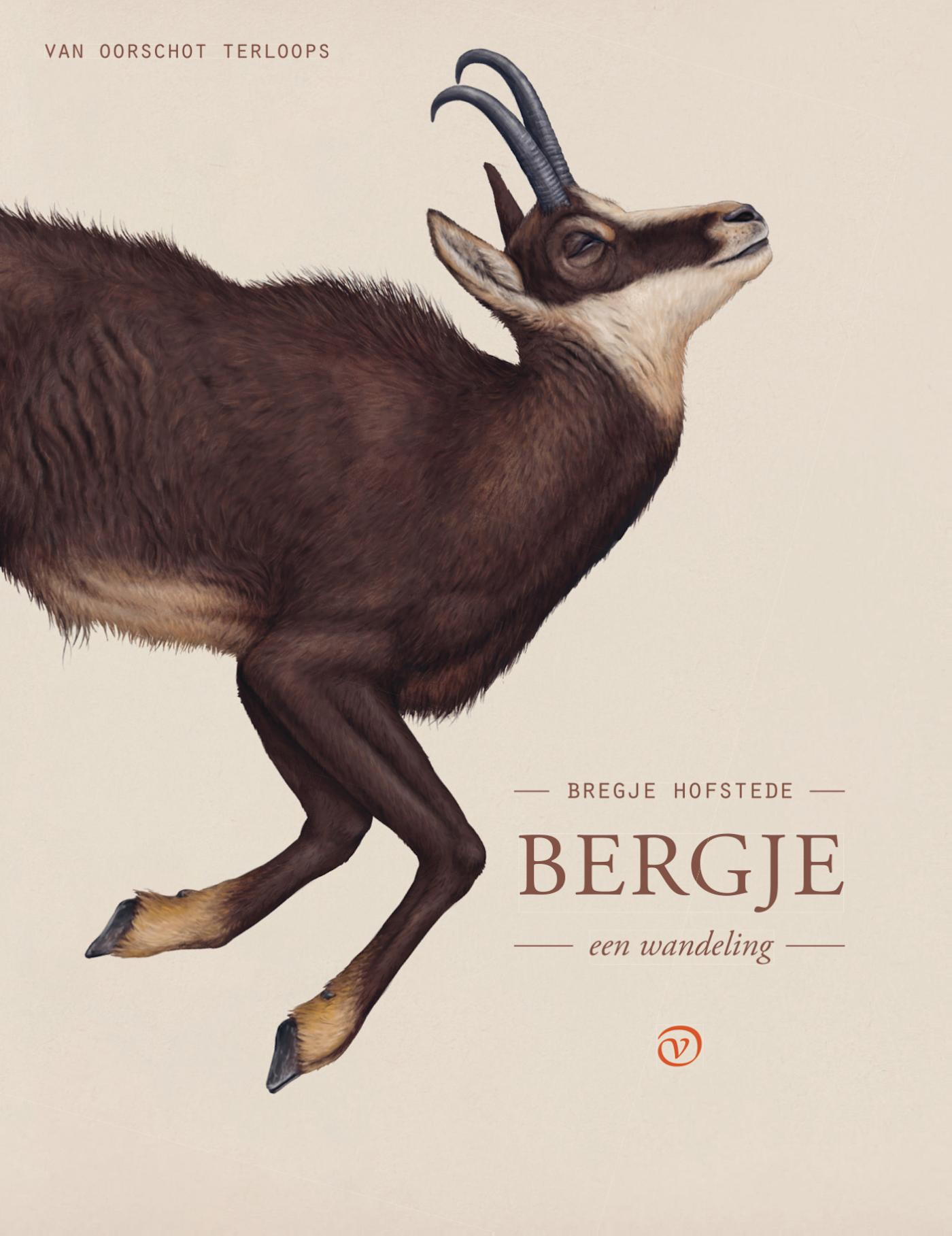 Bergje : een wandeling