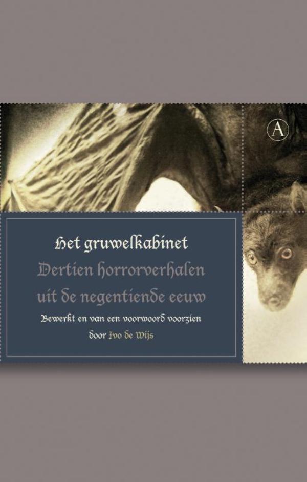 Het gruwelkabinet : dertien horrorverhalen uit de negentiende eeuw