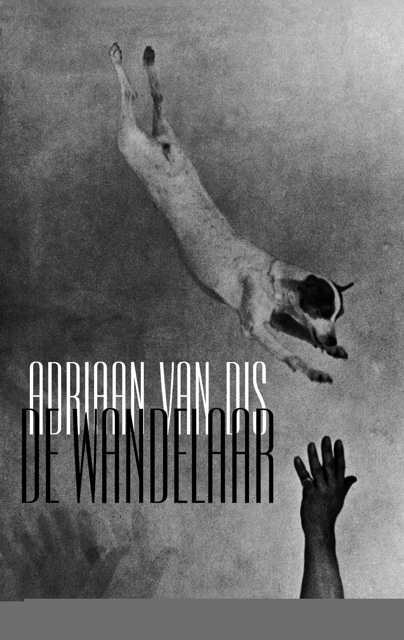 De wandelaar : roman