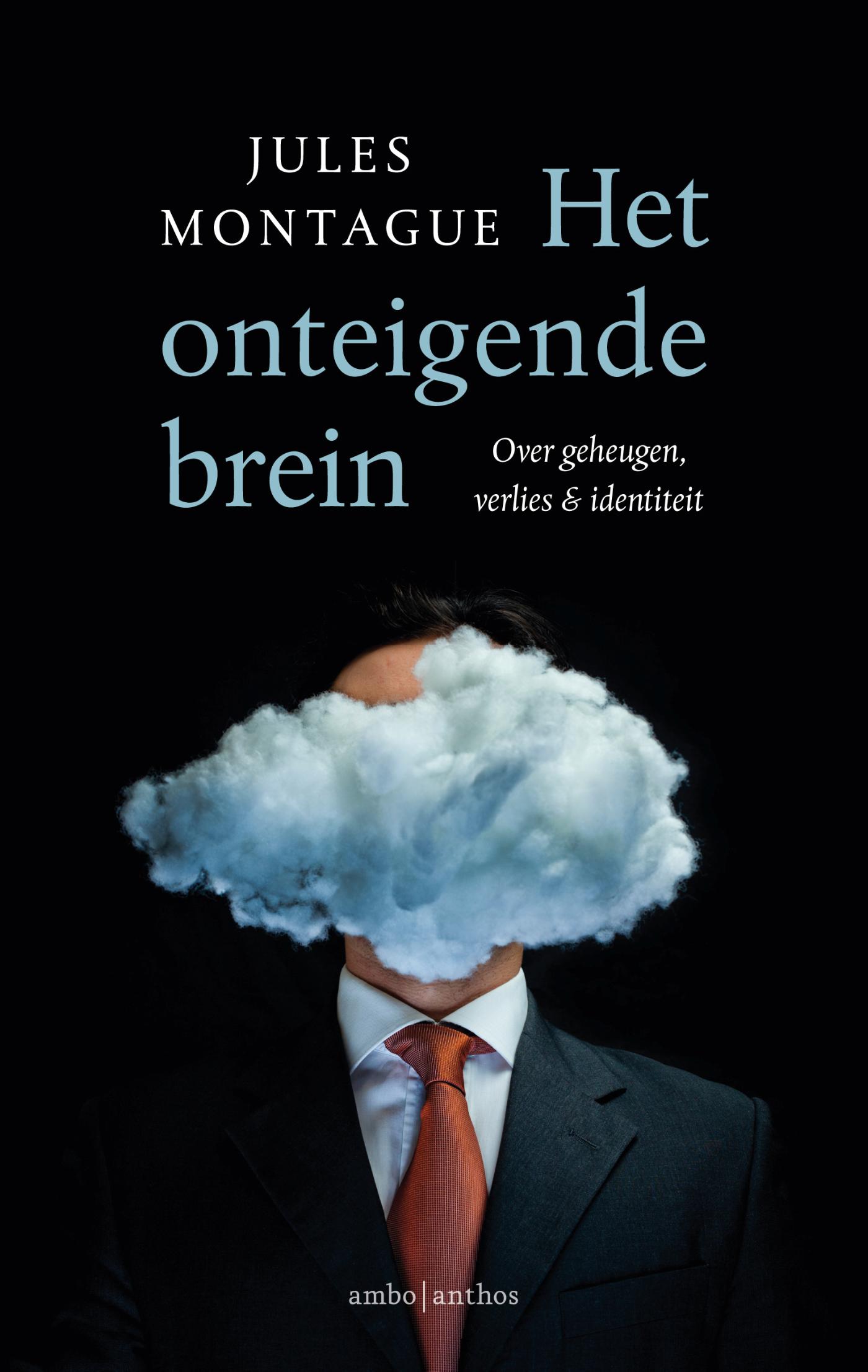 Het onteigende brein : over geheugen, verlies & identiteit
