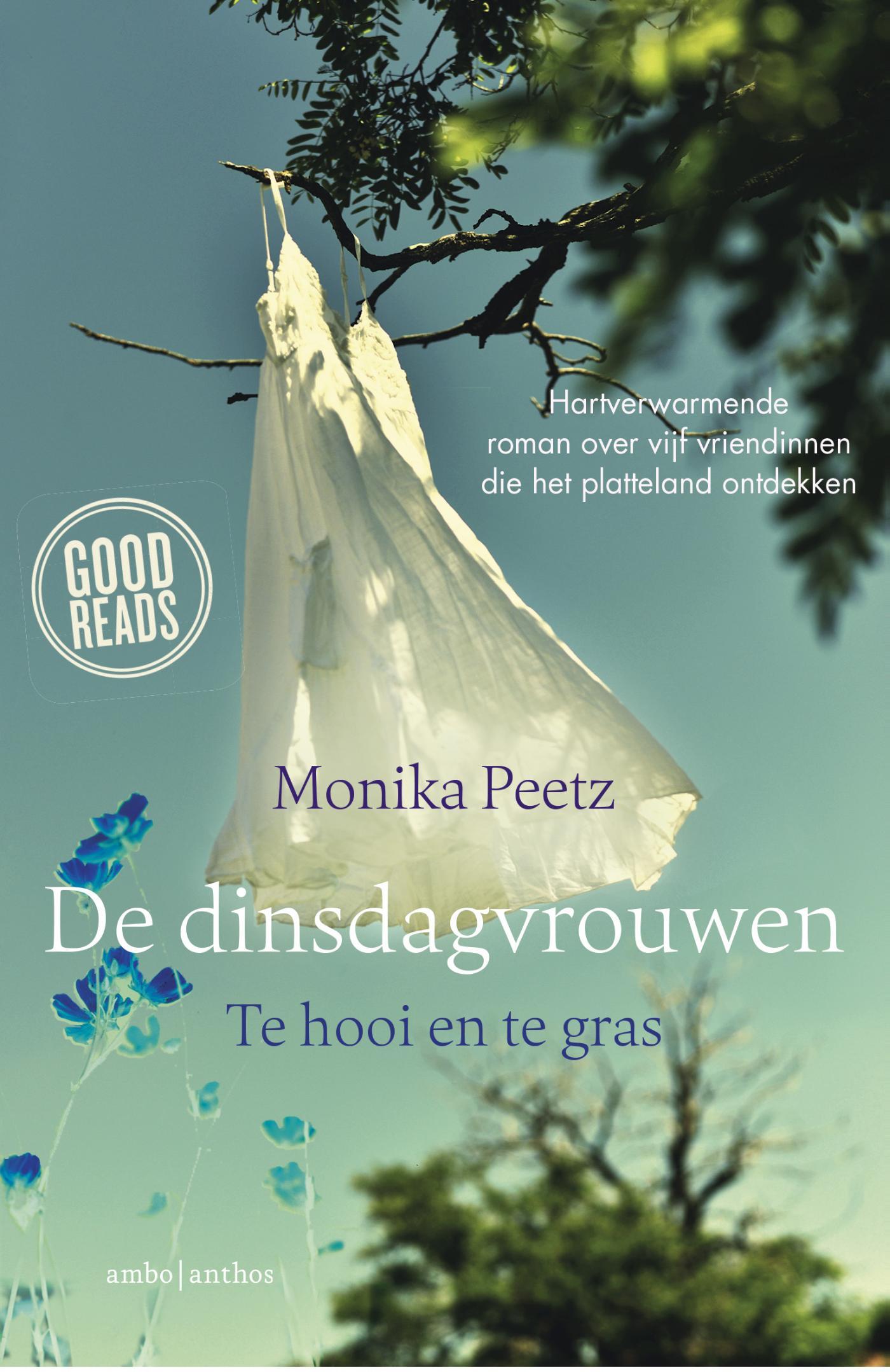 De dinsdagvrouwen te hooi en te gras