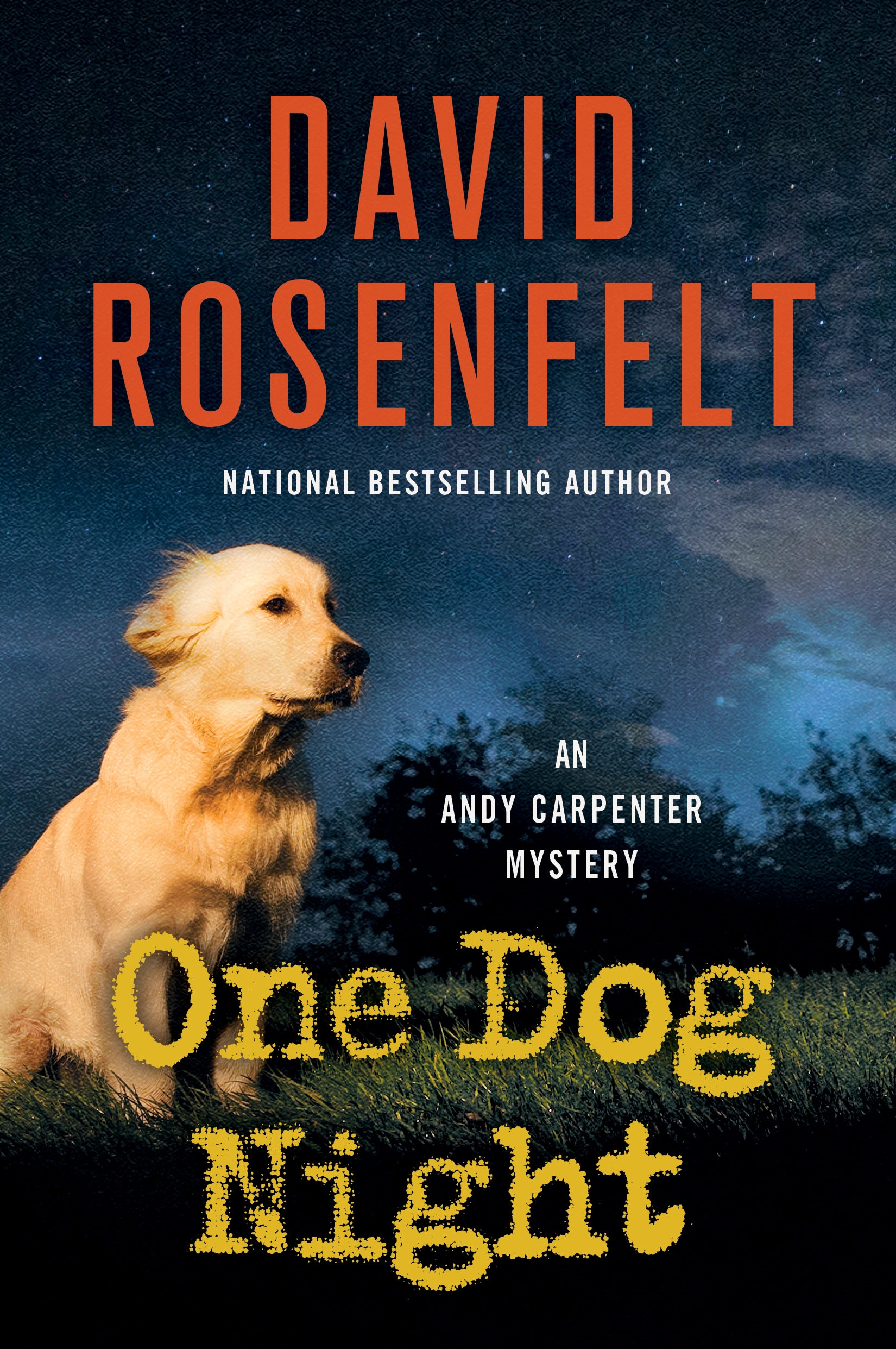 Cover image for One Dog Night [electronic resource] : An Andy Carpenter Novel