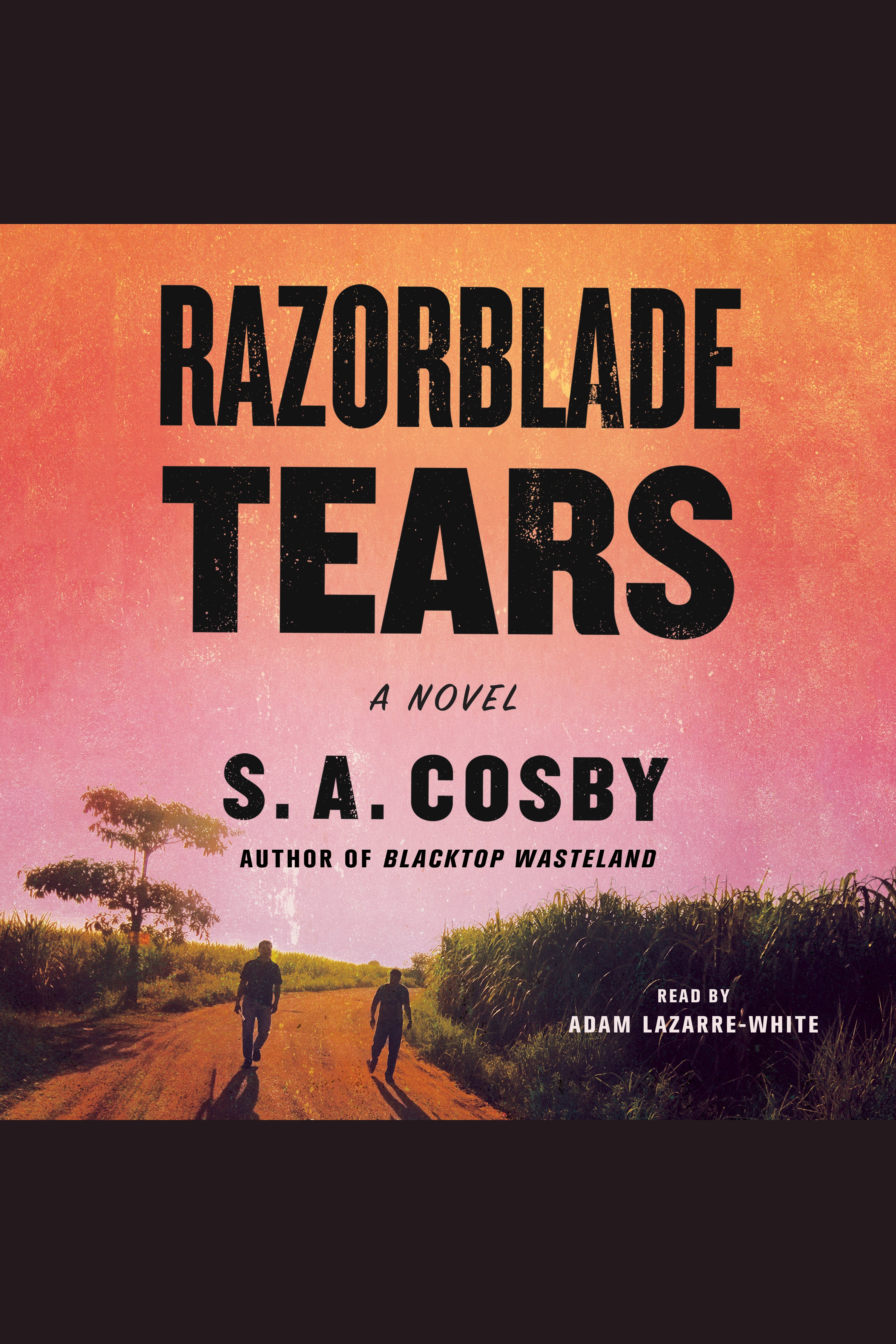 Cover image for Razorblade Tears [electronic resource] : A Novel