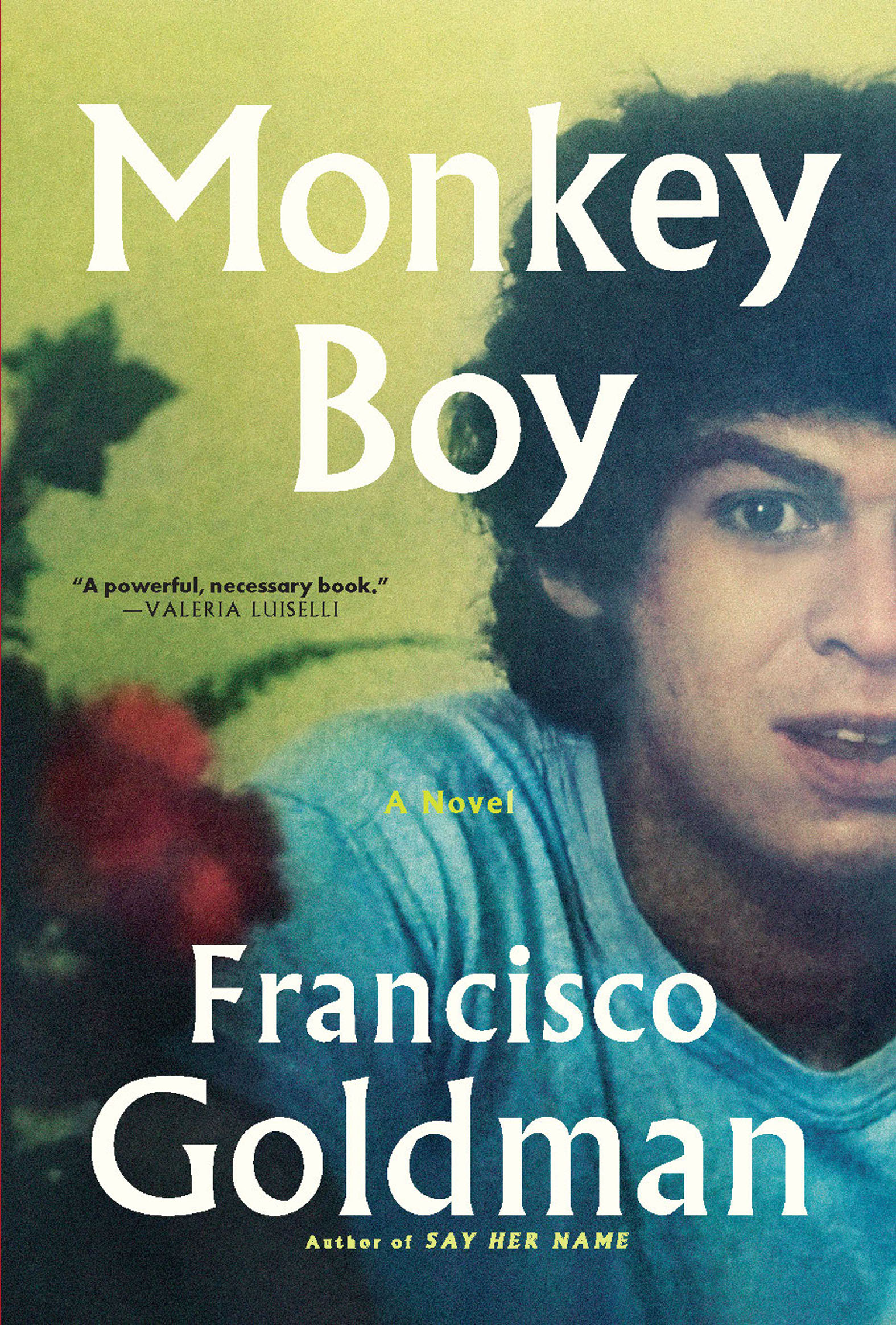 Imagen de portada para Monkey Boy [electronic resource] : A Novel