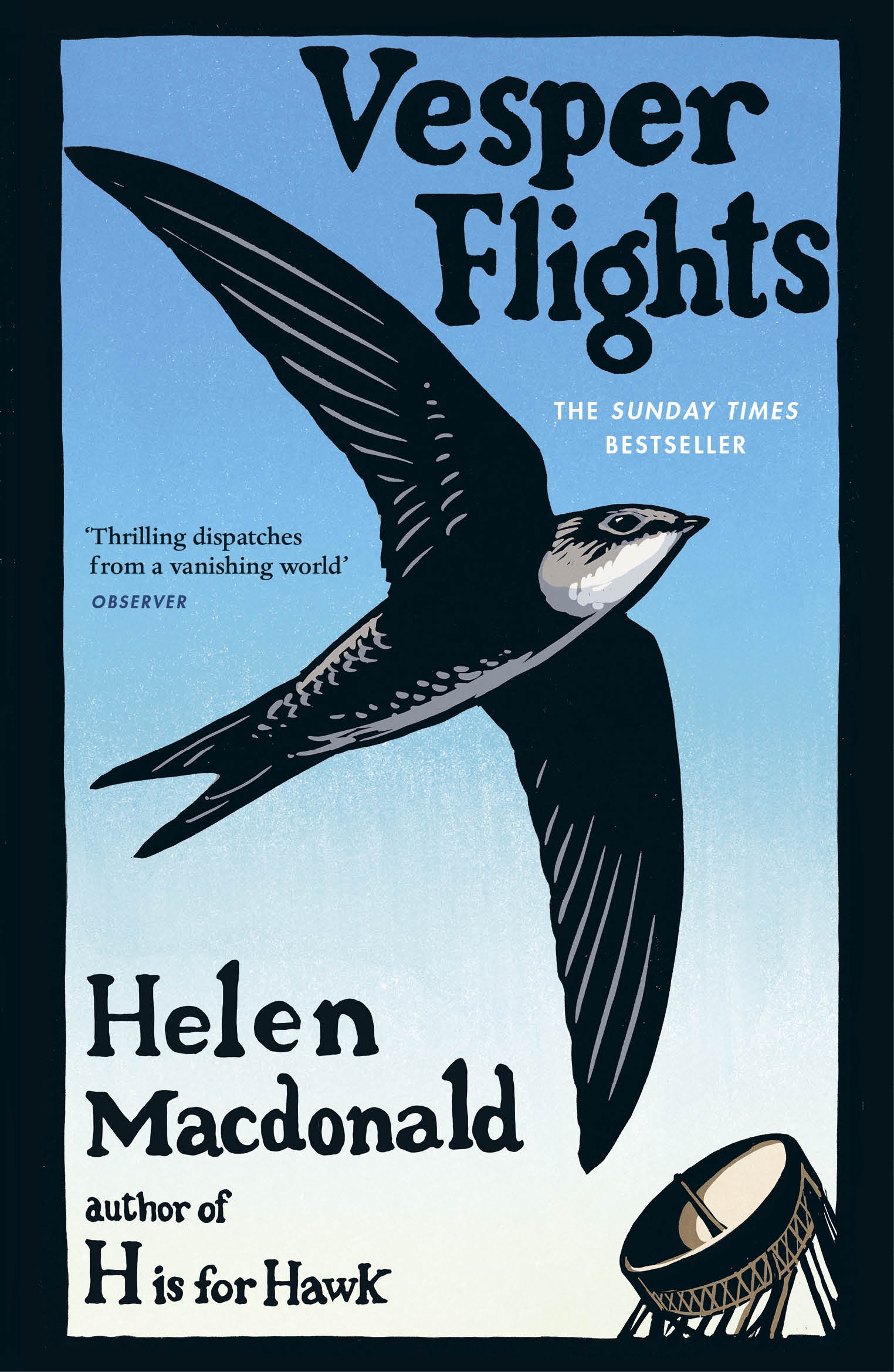 Vesper flights : new and collected essays