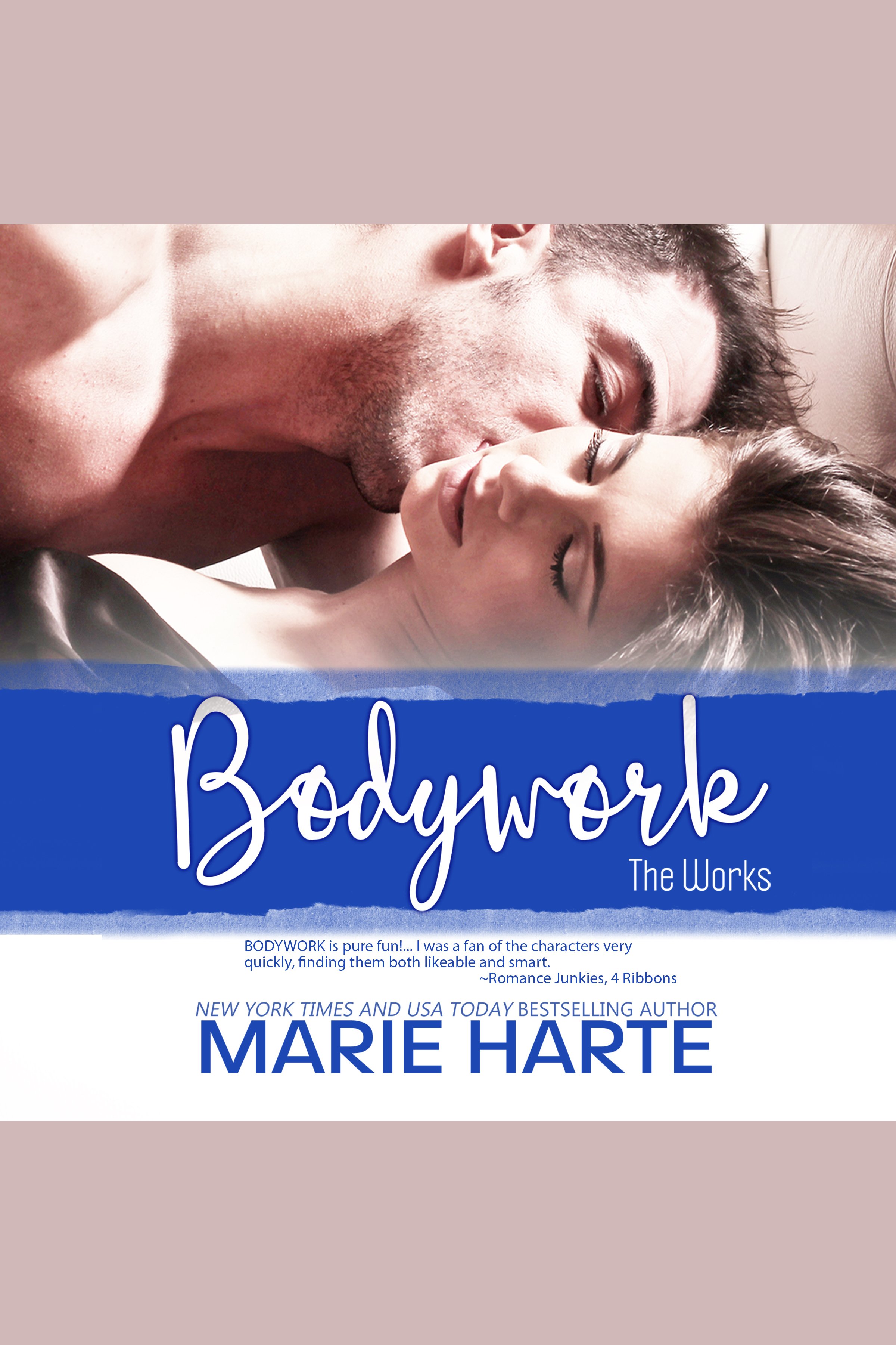 Bodywork cover image