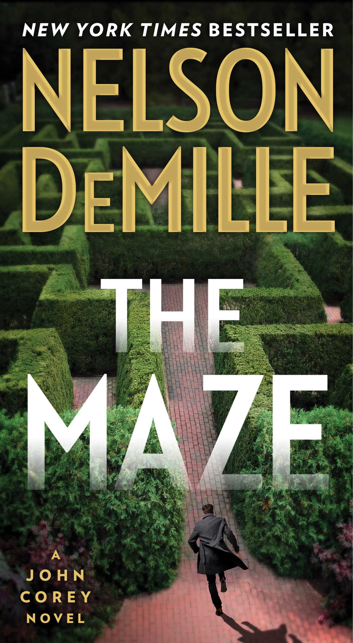 Cover image for The Maze [electronic resource] :