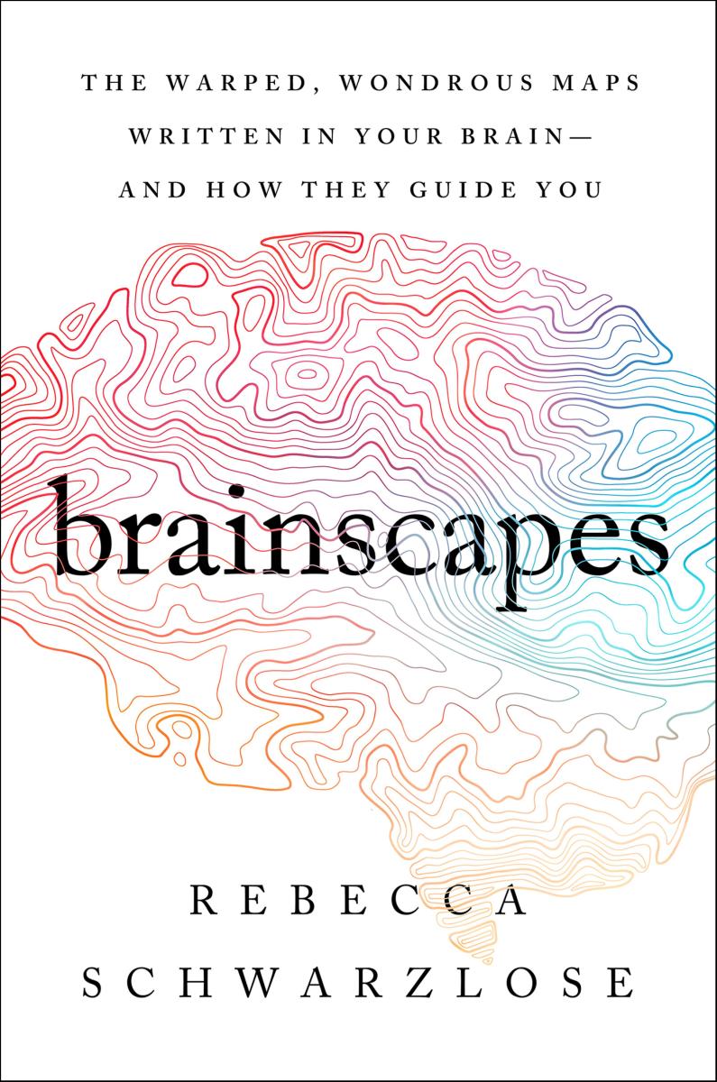 Brainscapes The Warped, Wondrous Maps Written in Your Brain-And How They Guide You cover image