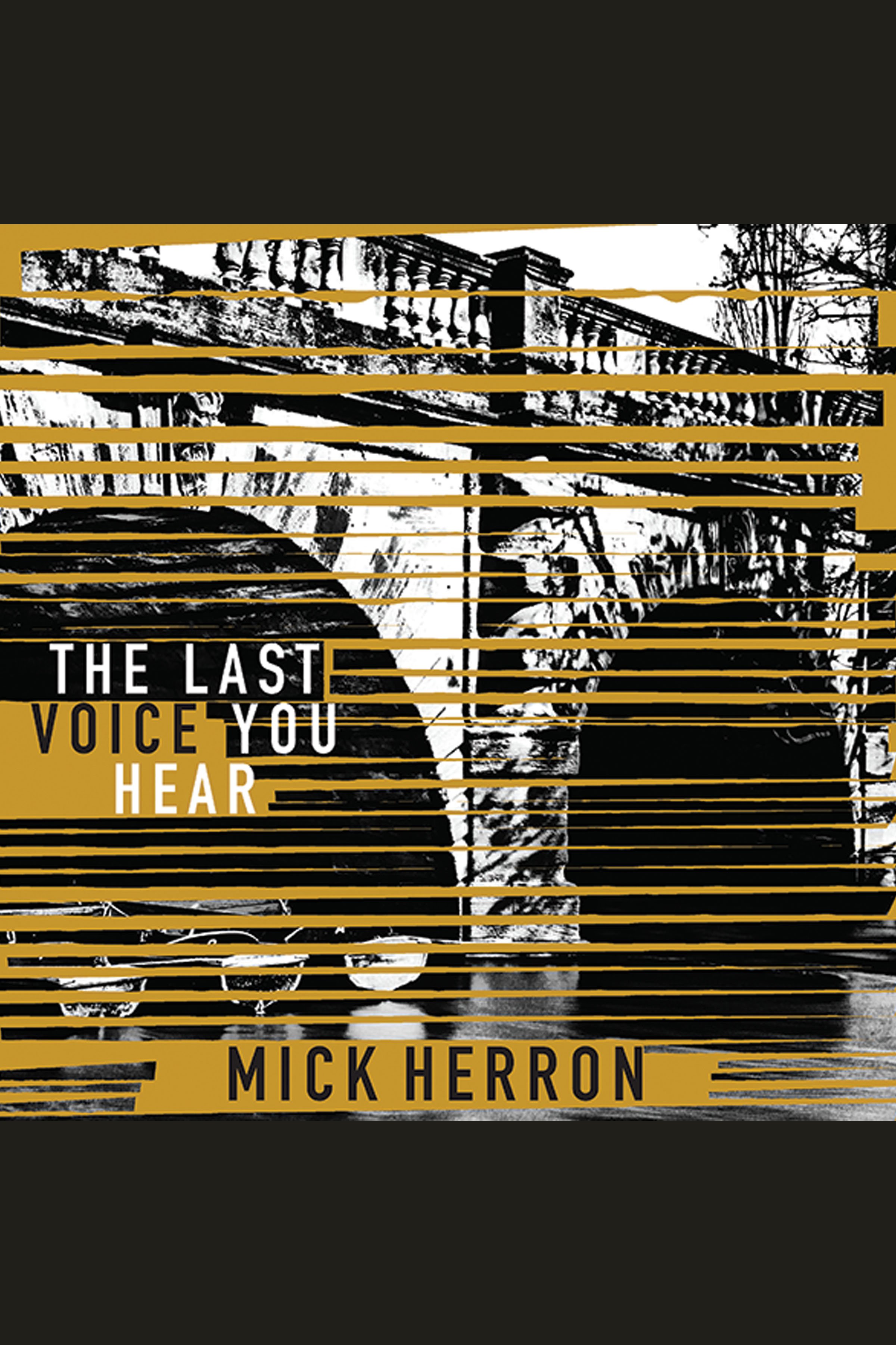 Cover image for Last Voice You Hear, The [electronic resource] :