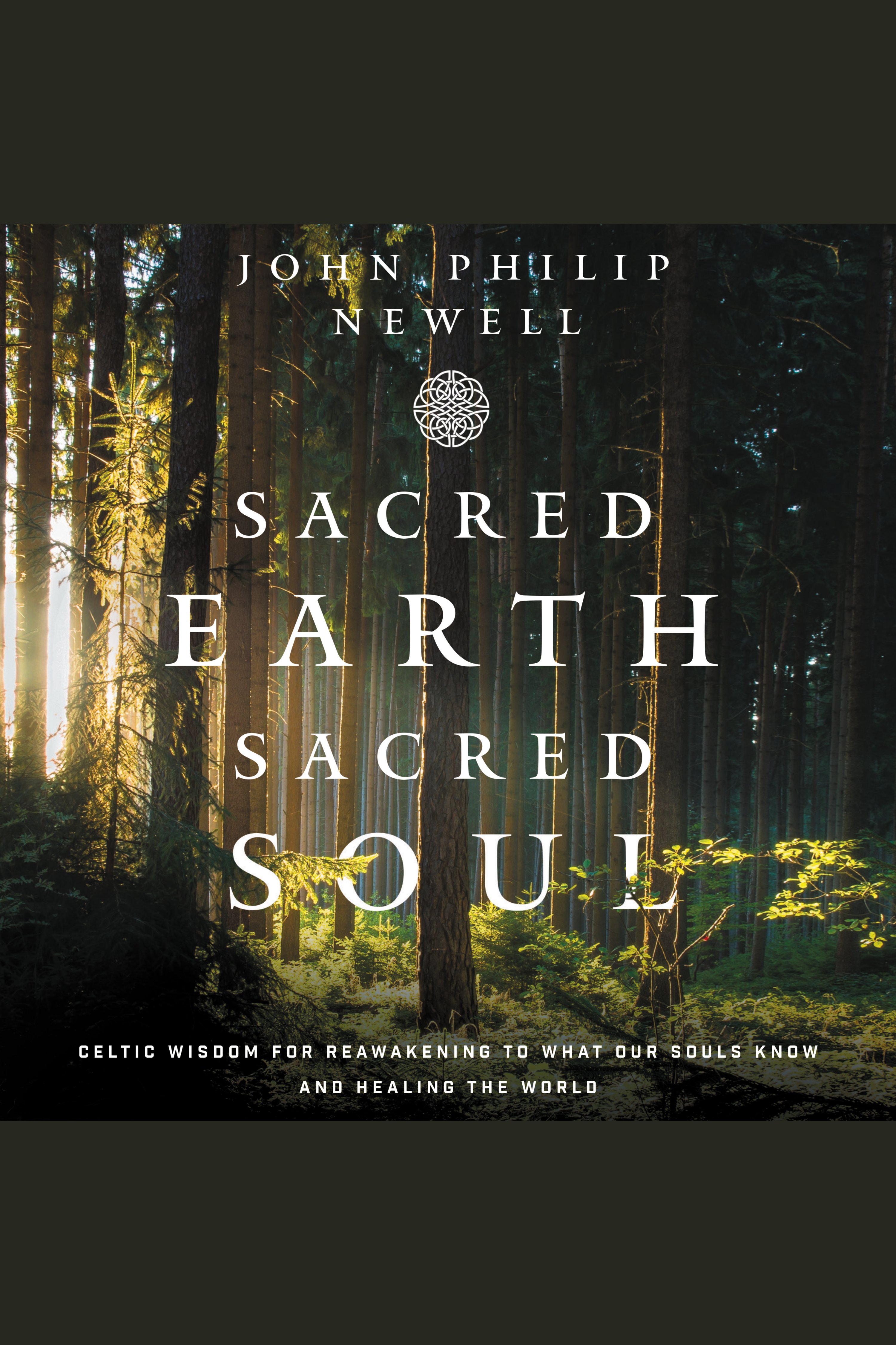 Sacred Earth, Sacred Soul Celtic Wisdom for Reawakening to What Our Souls Know and Healing the World cover image