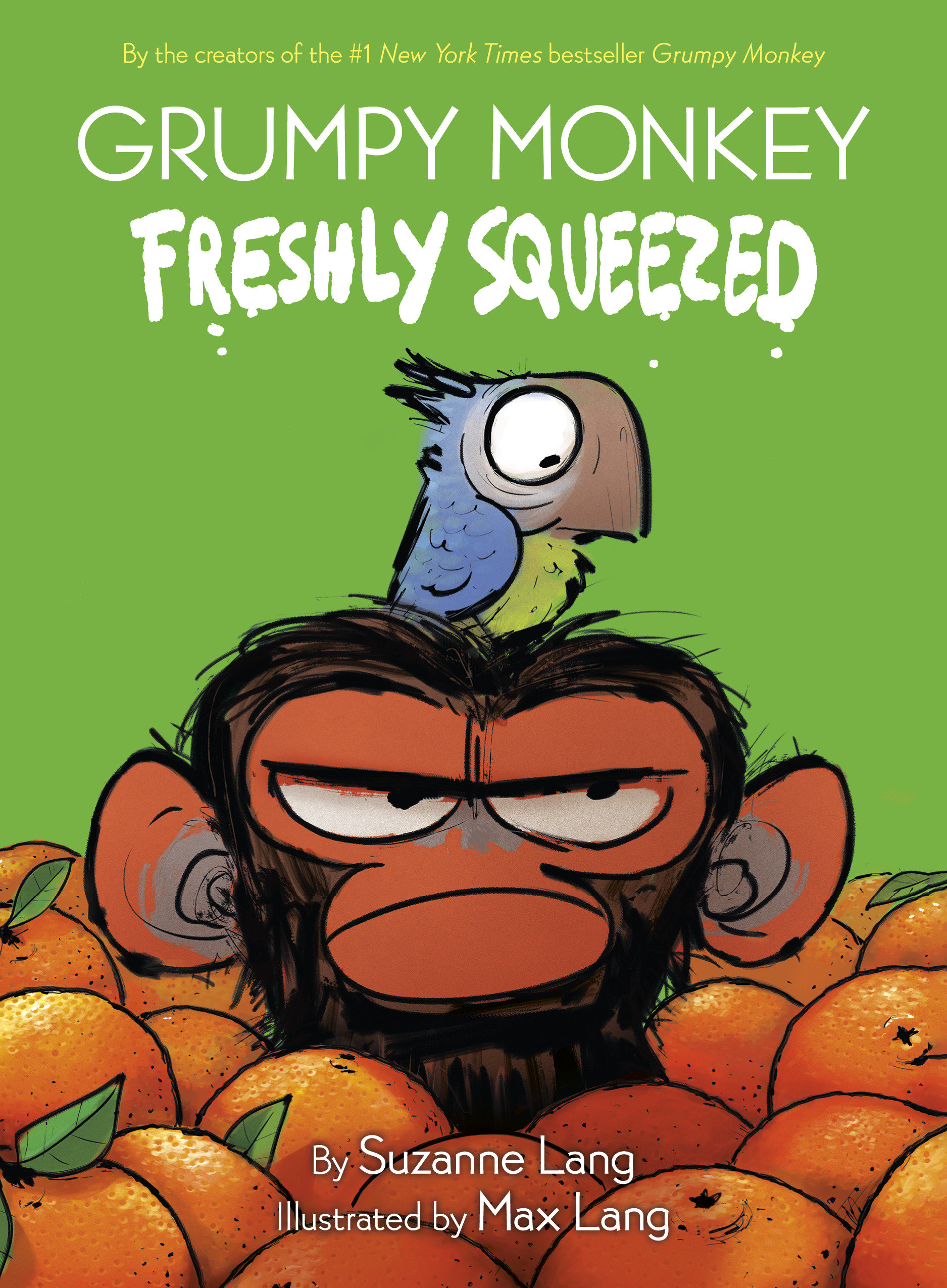 Grumpy Monkey