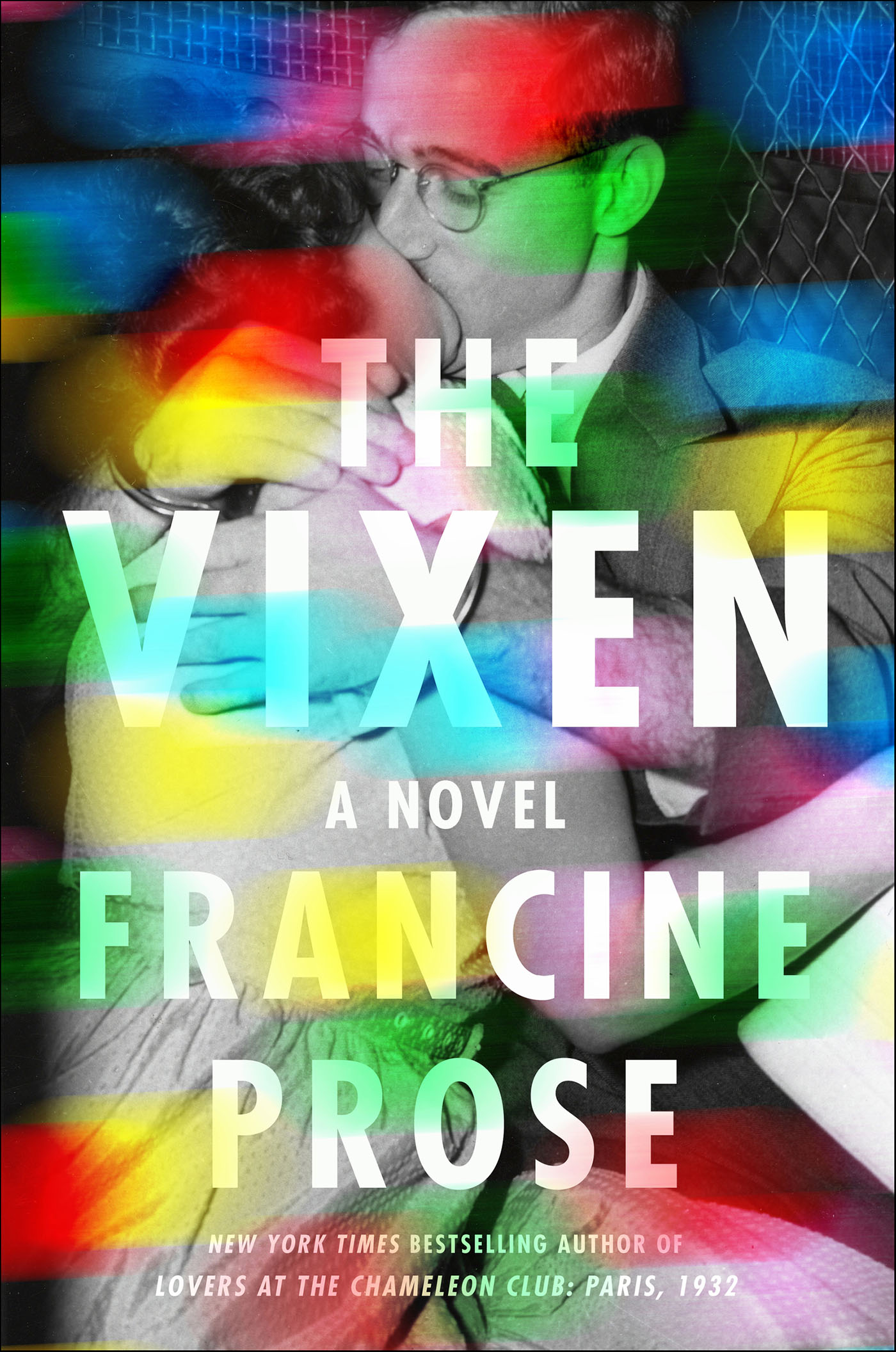 The vixen : a novel