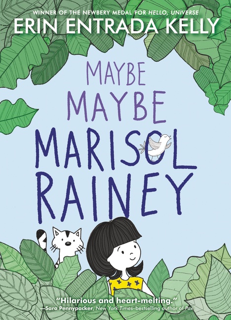 Maybe Maybe Marisol Rainey cover image