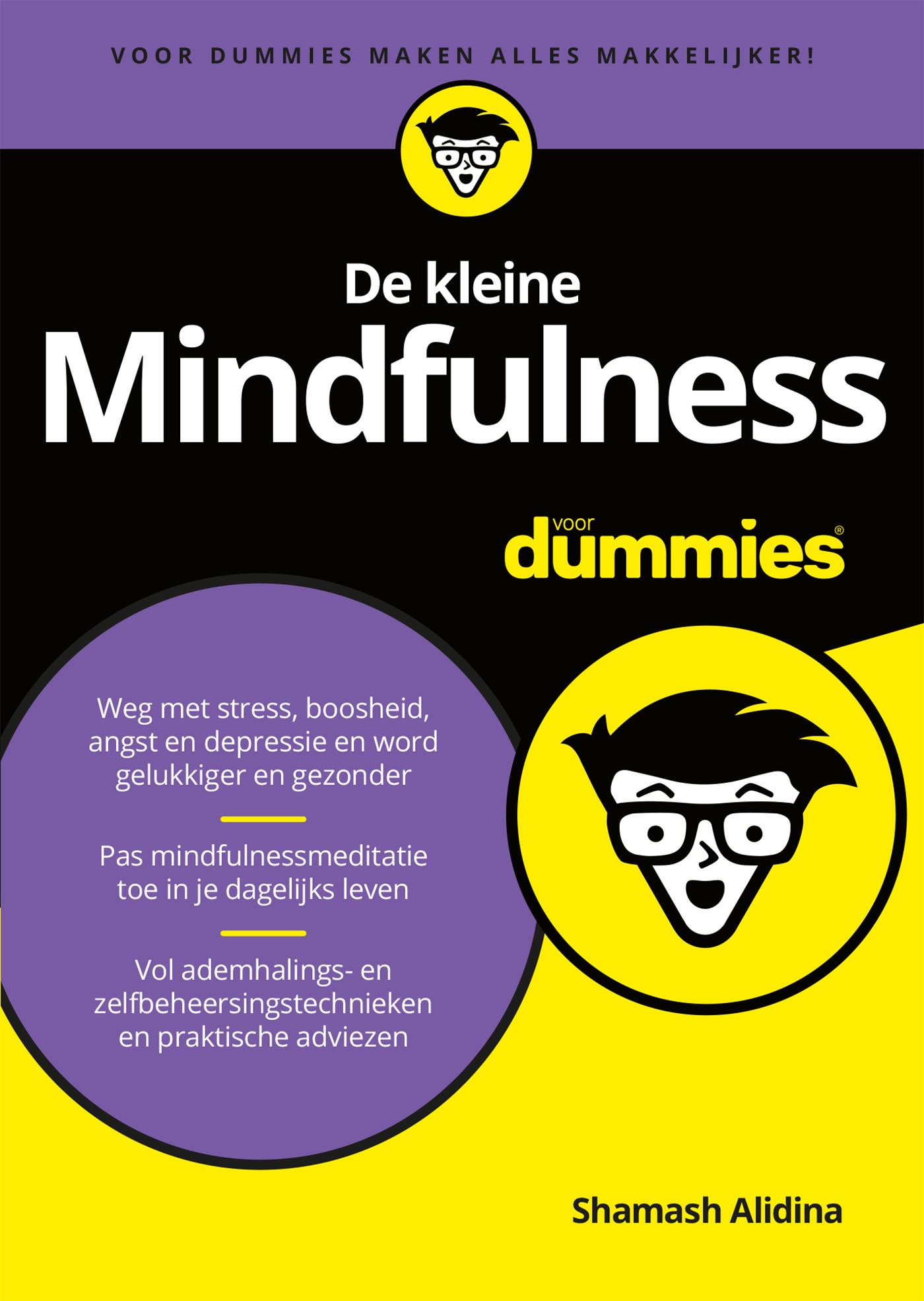 De kleine mindfulness voor dummies